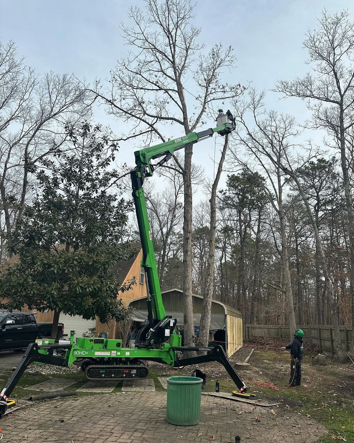 Green boom lift with worker pruning tall tree in a wooded yard, with stump grinder nearby.