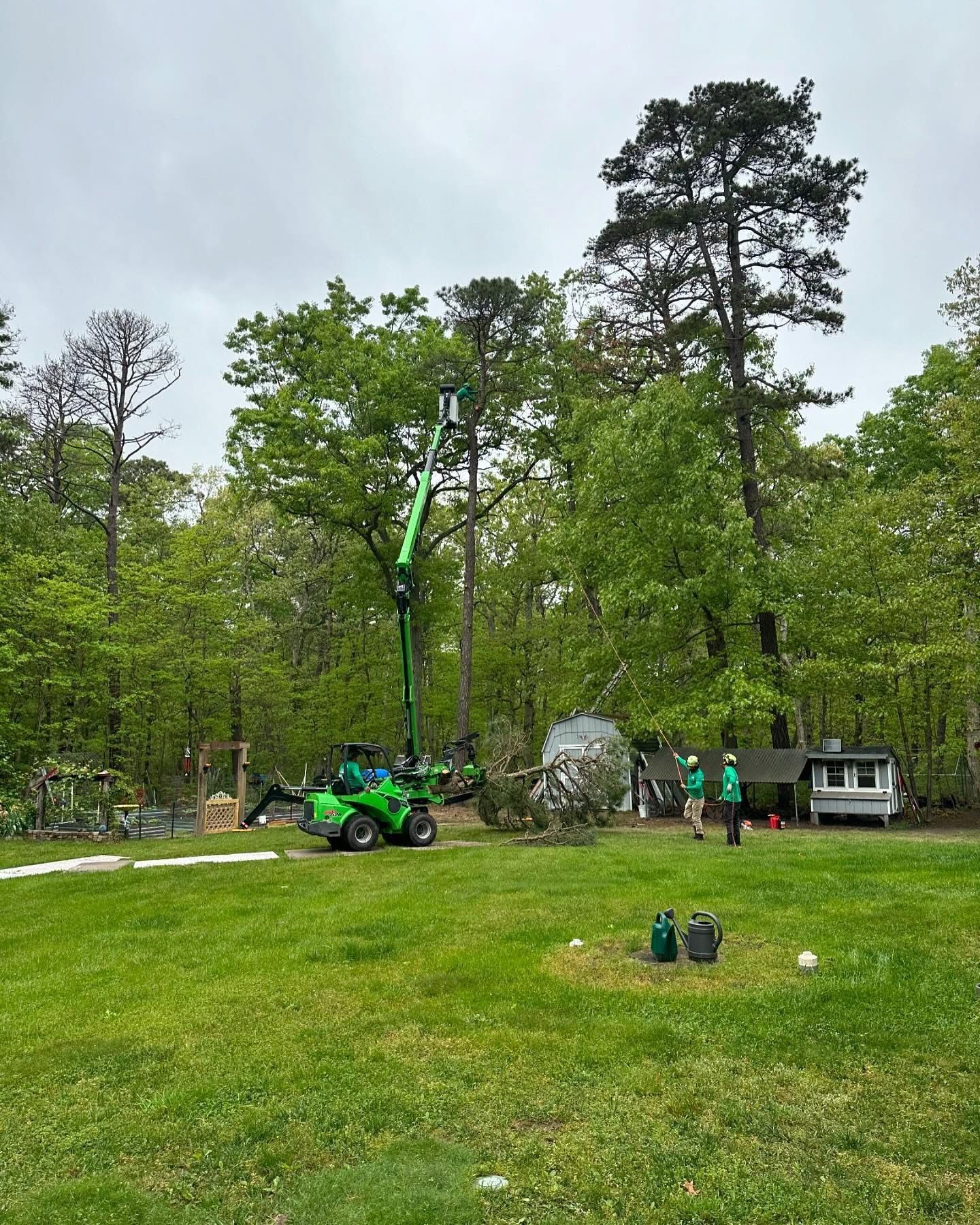 Green tractor lifting a tree branch in a grassy yard with workers and equipment nearby