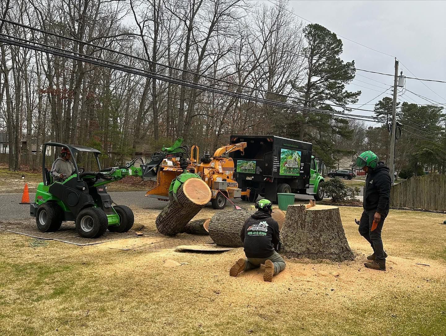 Tree service crew cutting logs beside a work truck in a wooded yard