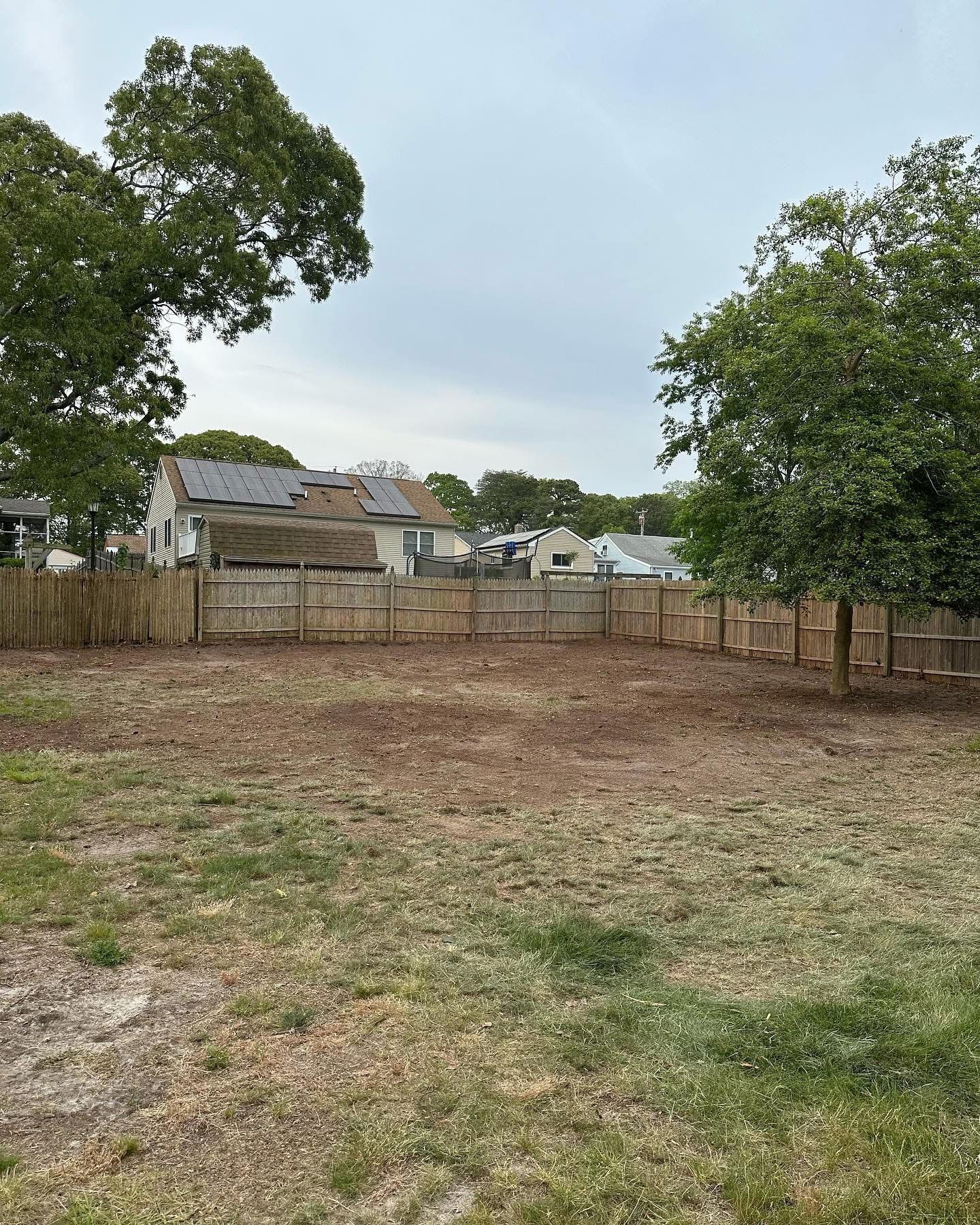 Backyard with dry grass, wooden fence, large trees, and houses in the background under cloudy sky