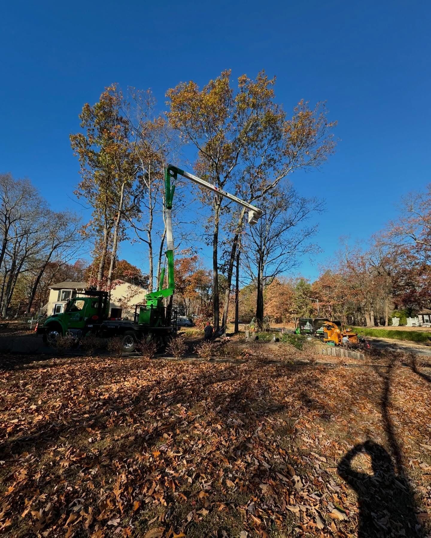 Green crane truck clearing fallen trees in a leaf-covered park under a clear blue sky
