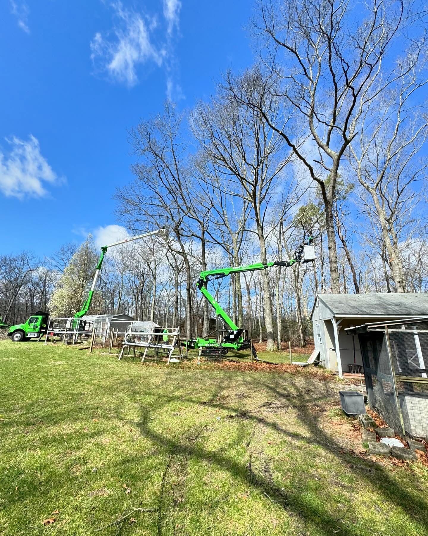 Two green boom lifts among leafless trees in a grassy yard under a bright blue sky
