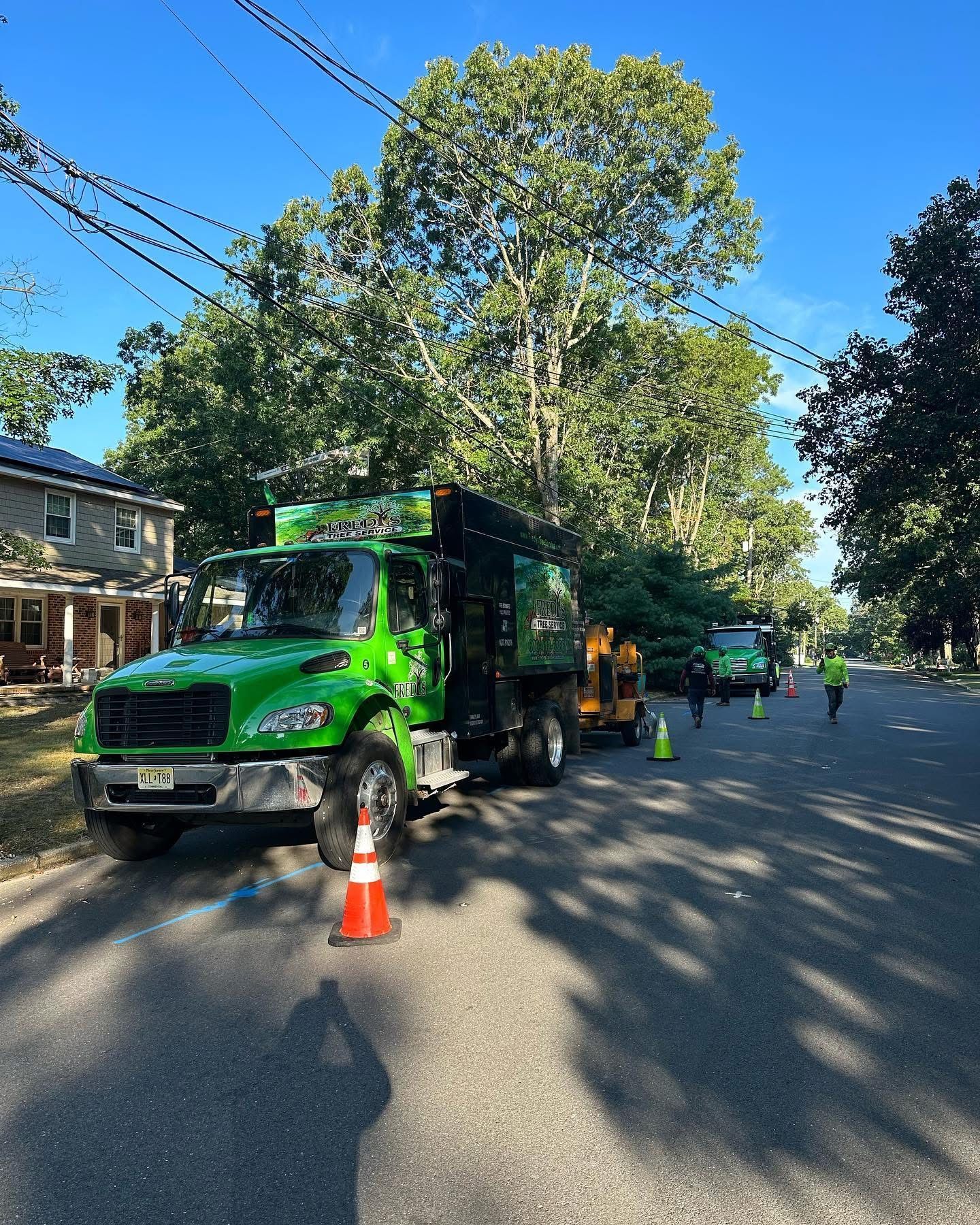 Green garbage truck and workers on a tree-lined residential street with traffic cones