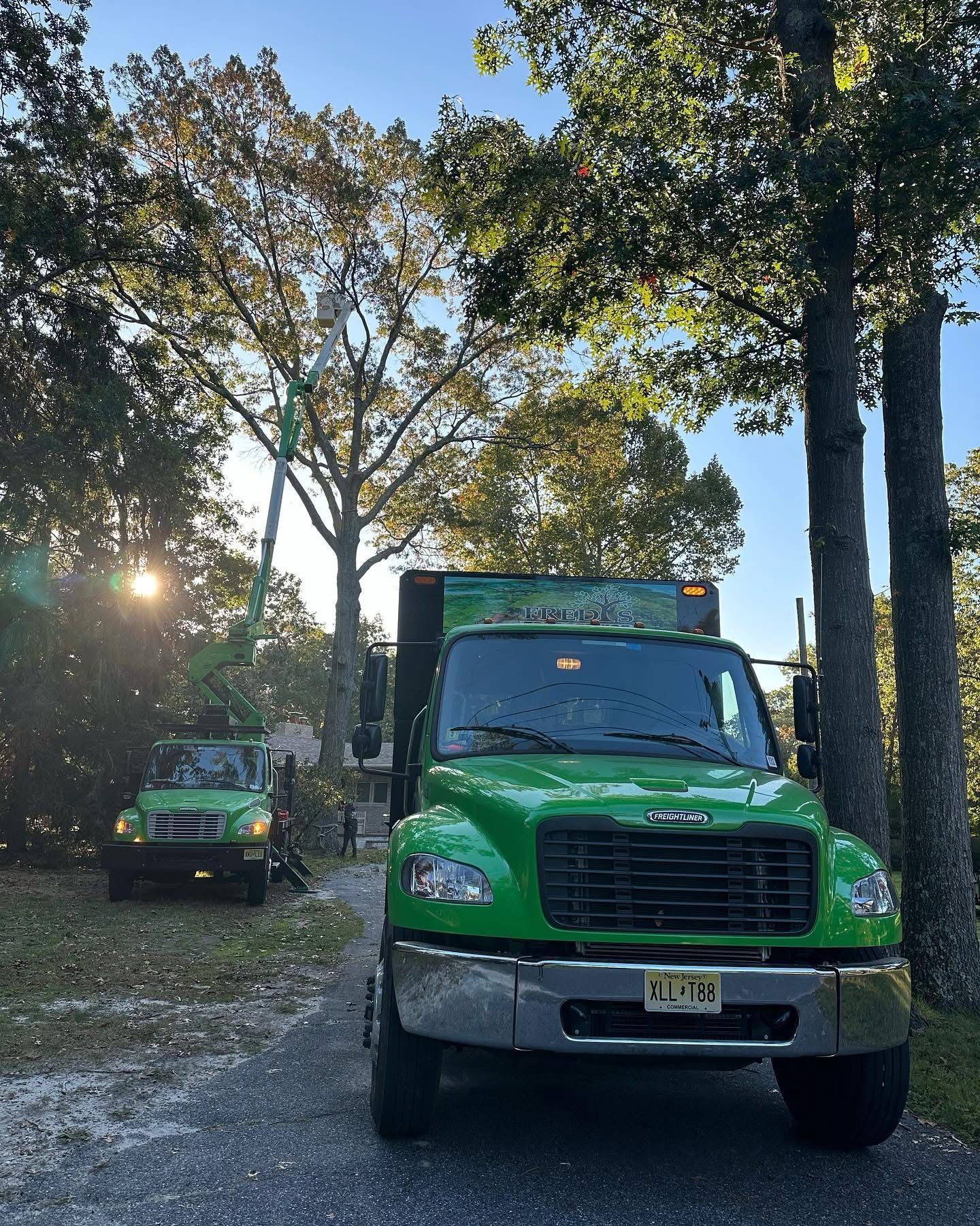 Green dump truck parked on a tree-lined road at sunset, with a smaller green vehicle behind it.