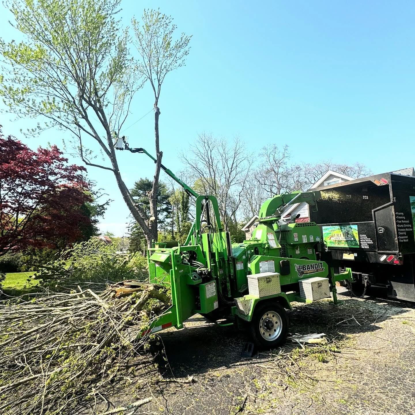 Green wood chipper and truck beside a driveway, with cut branches and trees under a bright blue sky