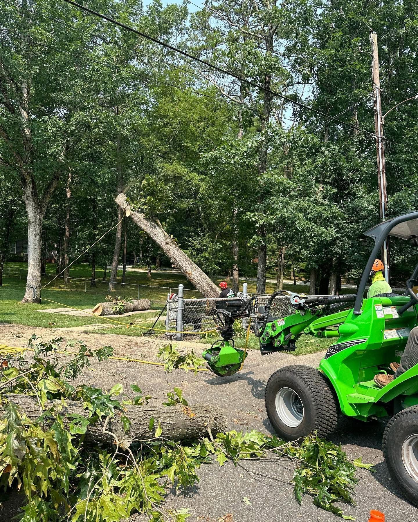 A fallen tree blocks a wooded path while a bright green utility vehicle works nearby.