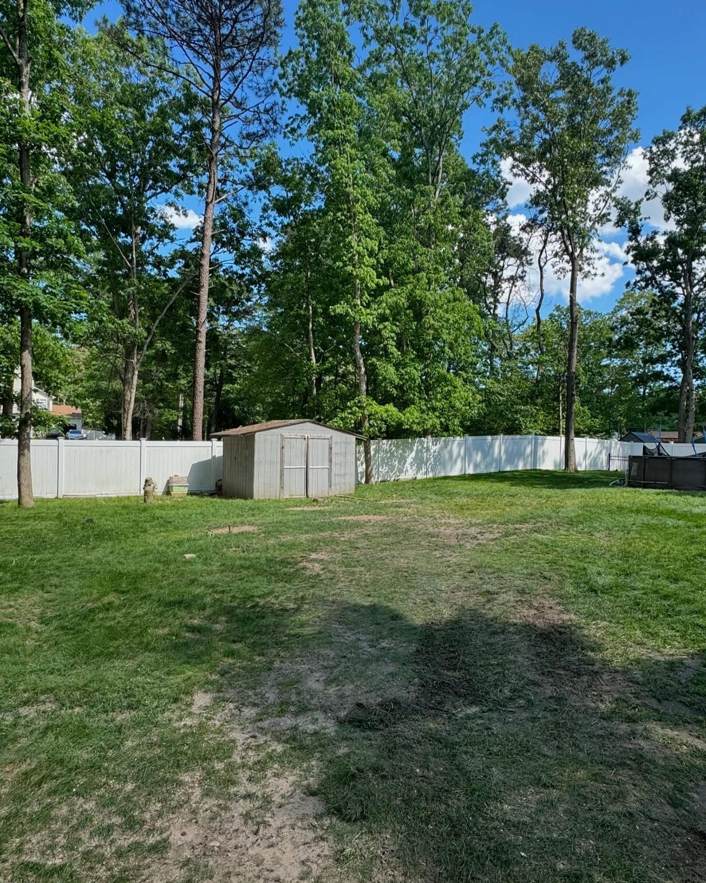 Grassy backyard with white fence, small shed, and tall green trees under a blue sky.