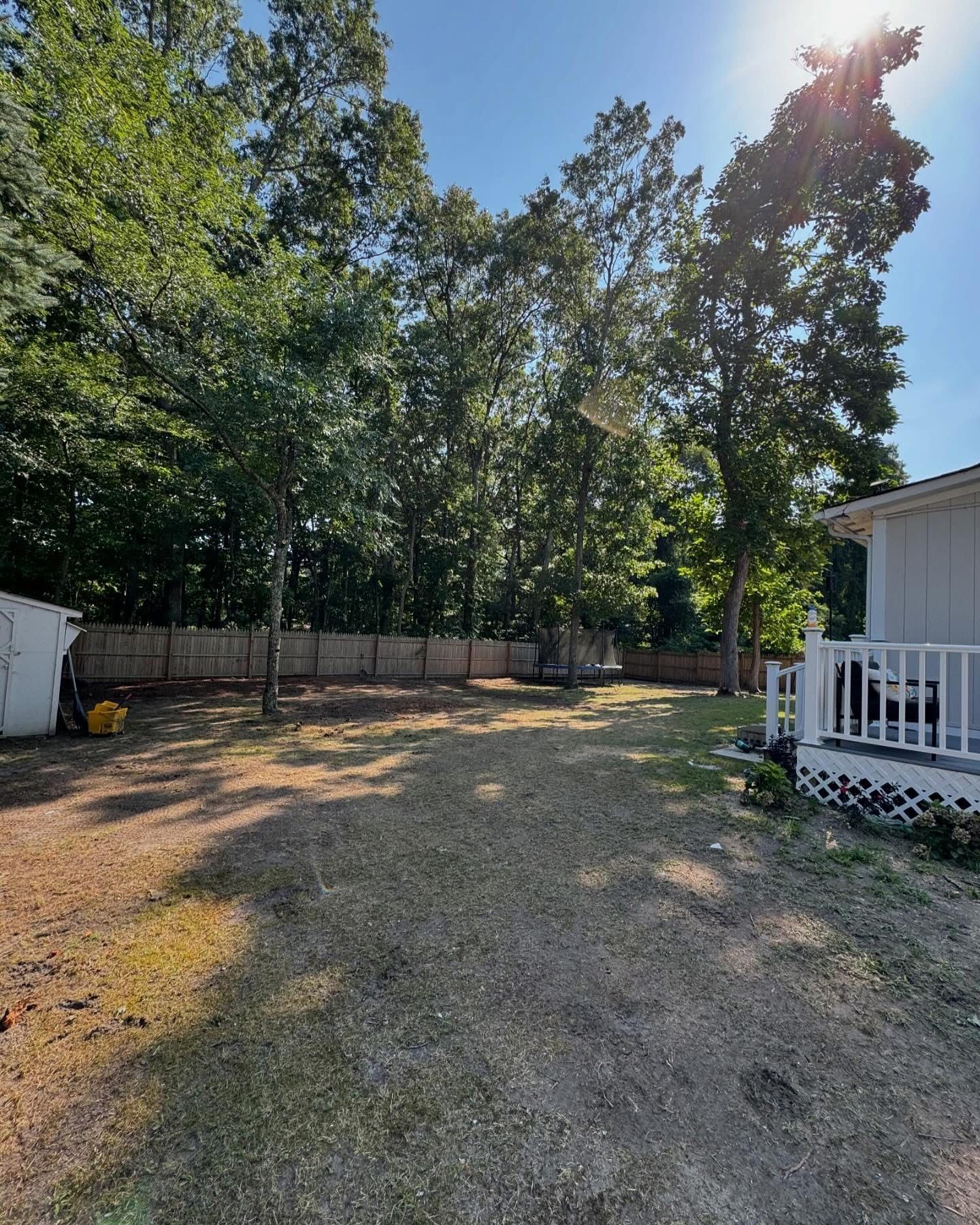Sunlit backyard with trees, fenced yard, gravel ground, and a small porch on the right.