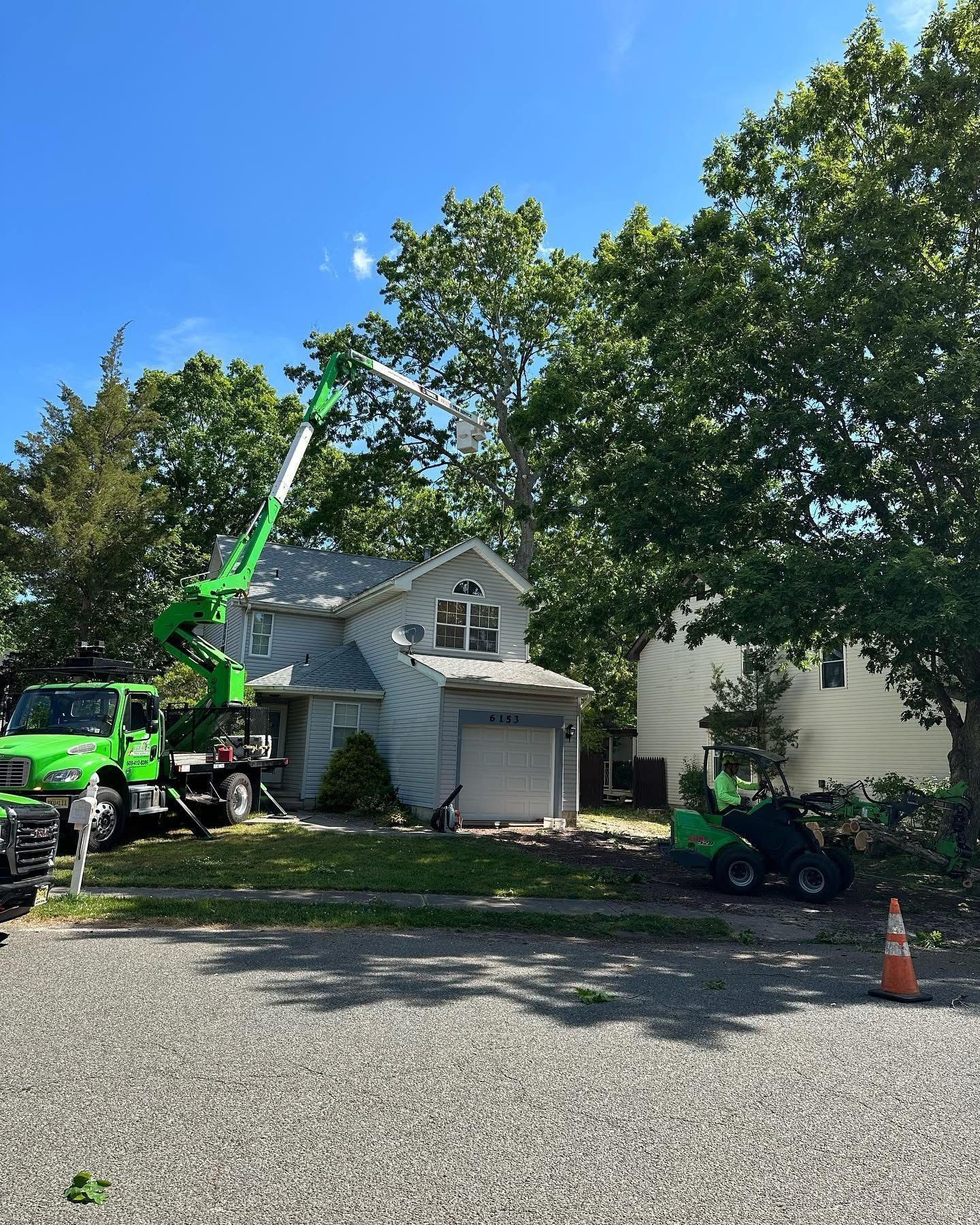 Green crane truck trimming a large tree beside a suburban house on a sunny day