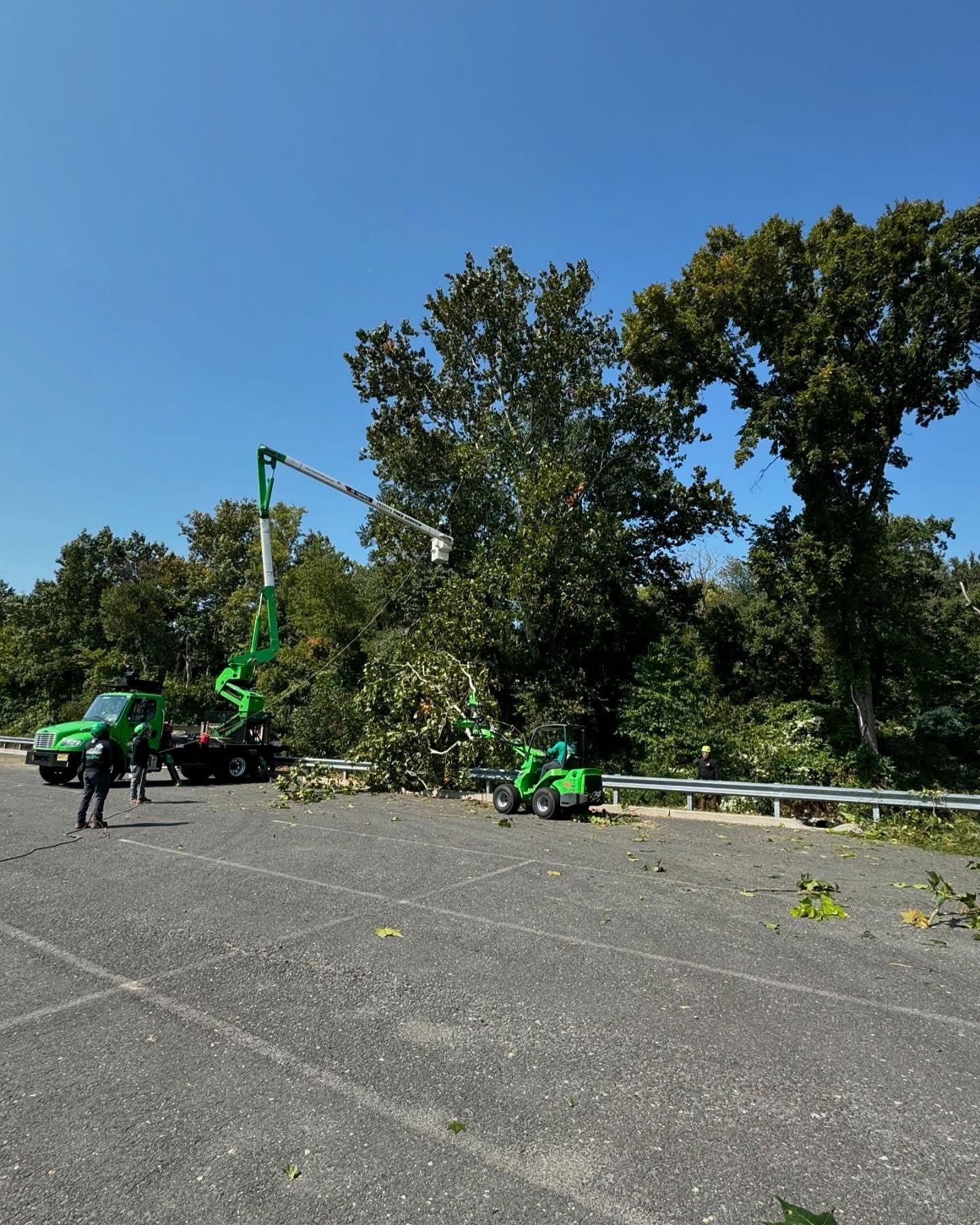 Workers trimming fallen tree branches along a roadside with green lift equipment under a clear blue sky