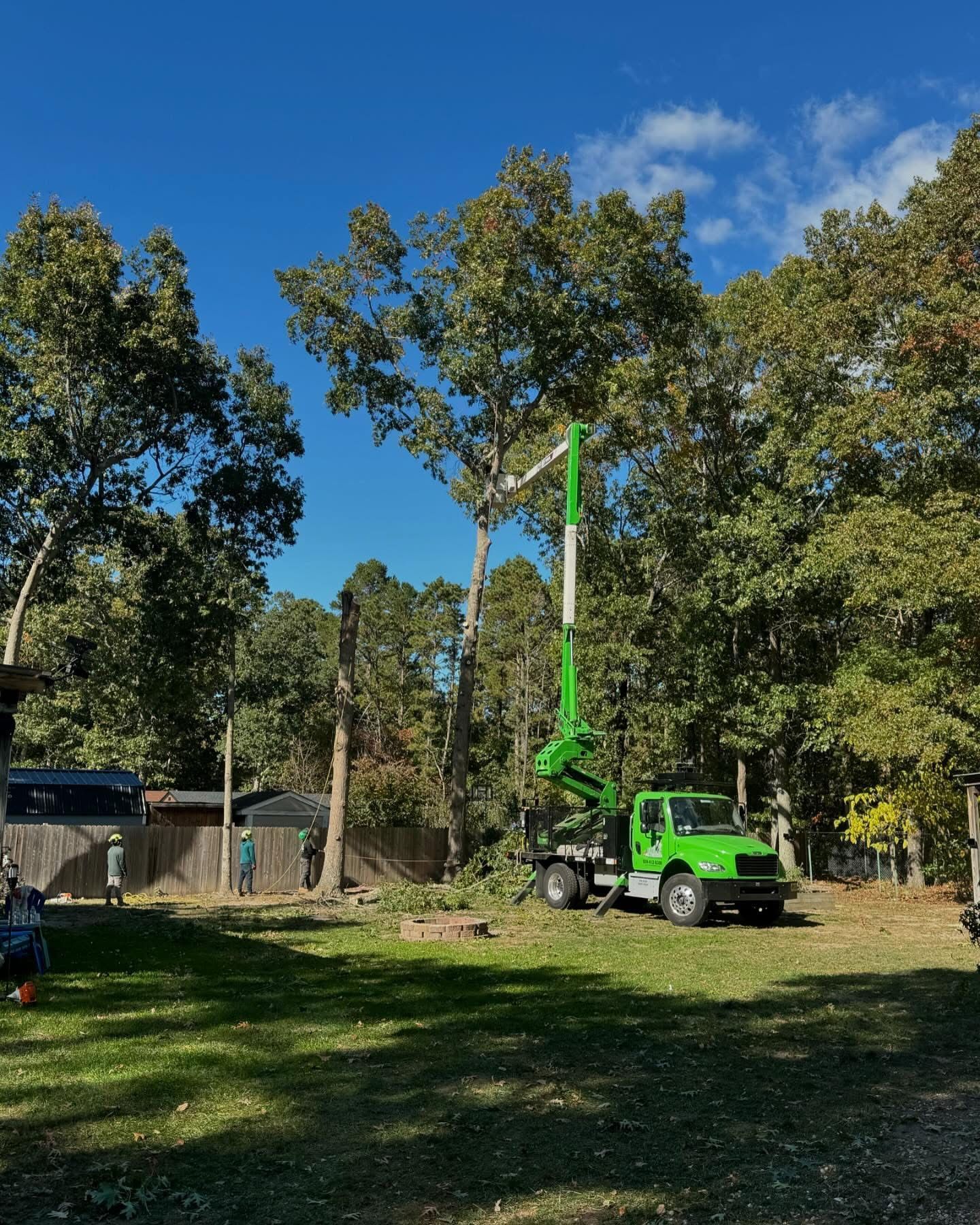 Green boom lift raised among trees in a sunny park with blue sky.