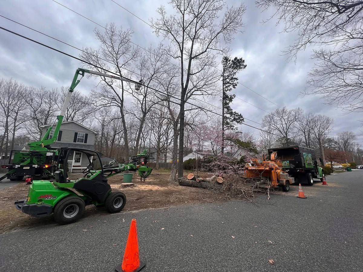 Green construction lift and orange chipper clearing fallen tree branches on a residential street