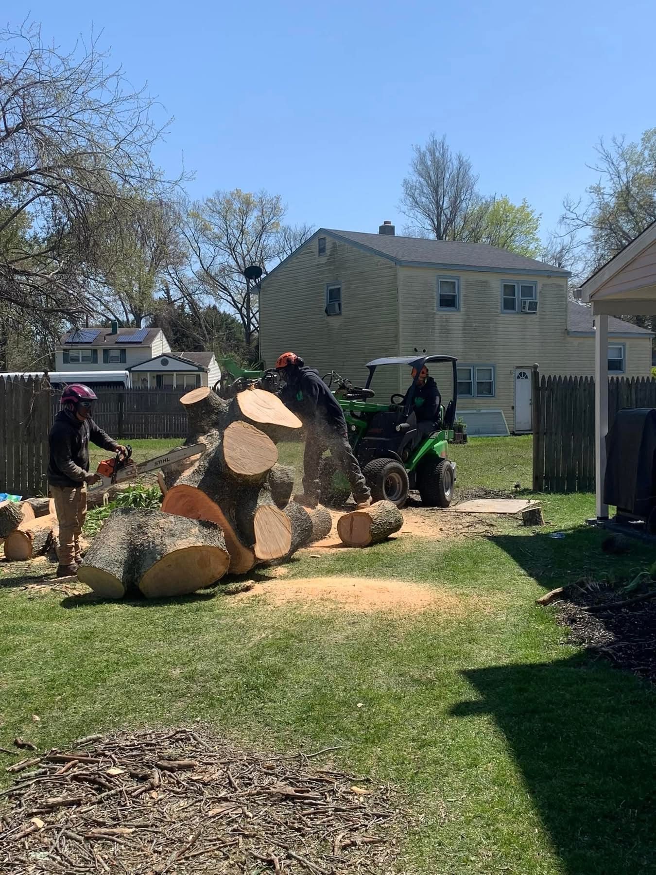 Workers using a chainsaw to cut a large fallen tree in a suburban yard, with logs and wood chips scattered around