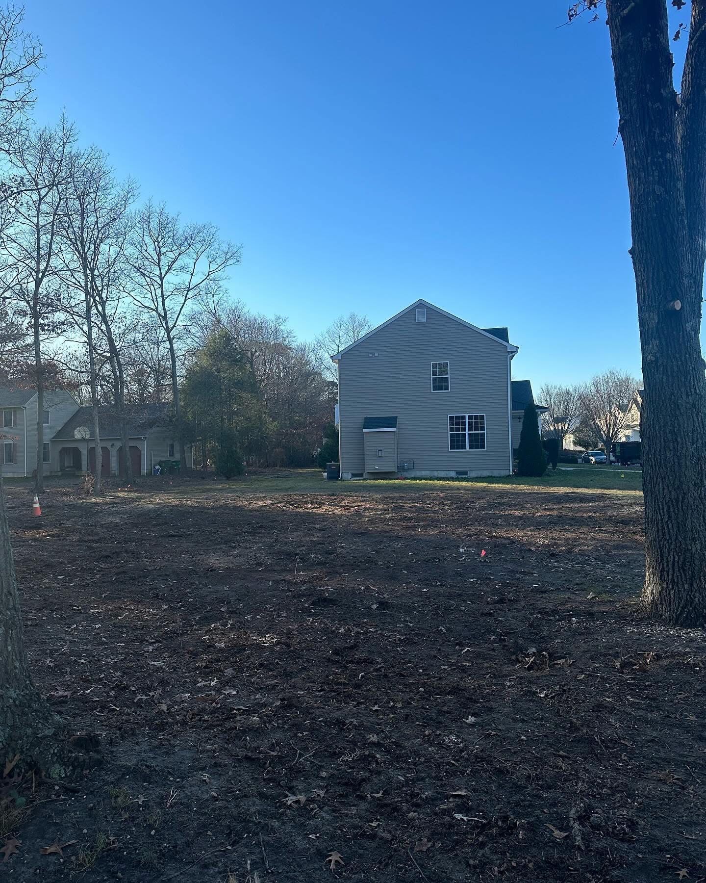 Small gray house in a wooded yard under a bright blue sky, with bare trees and a large tree trunk in the foreground