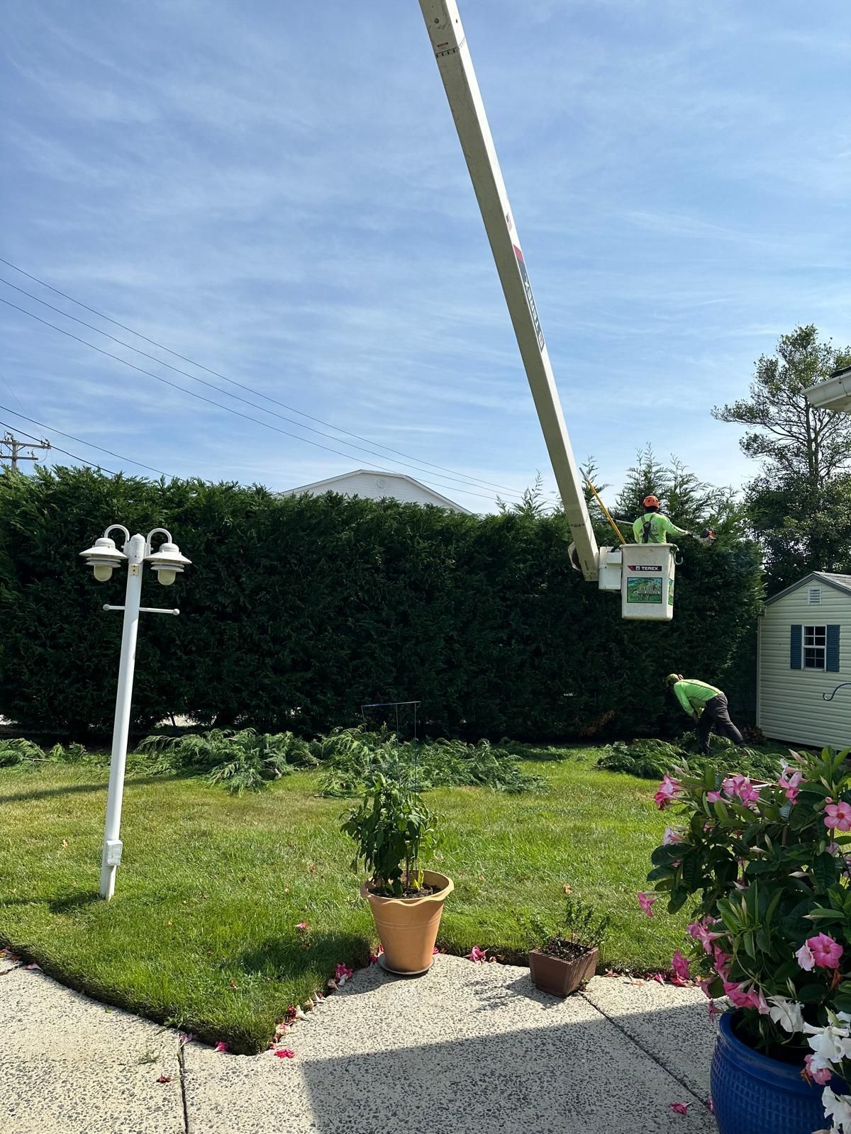 Backyard with hedge, lawn, potted plants, white lamp post, and a raised swing or feeder pole against blue sky