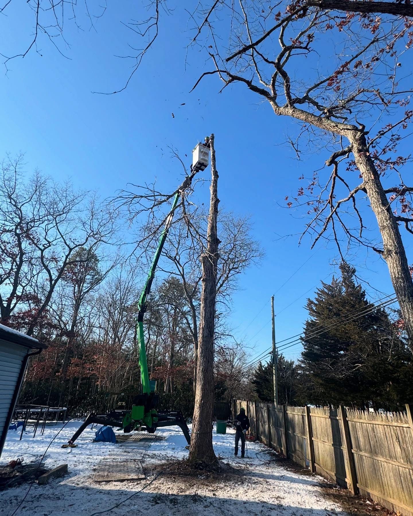 Worker in a green lift pruning a tall tree in a snowy yard beside a fence under a blue sky