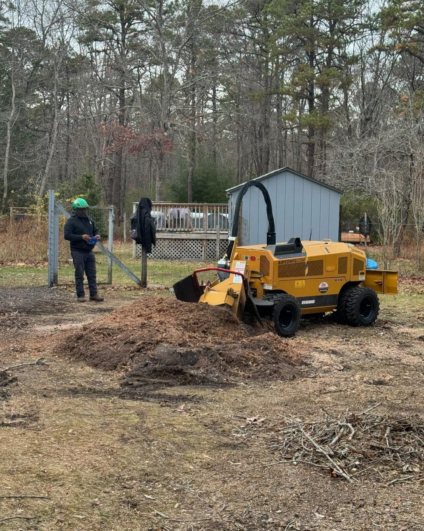 Workers clearing brush with a yellow mini excavator near a small shed in a wooded yard.