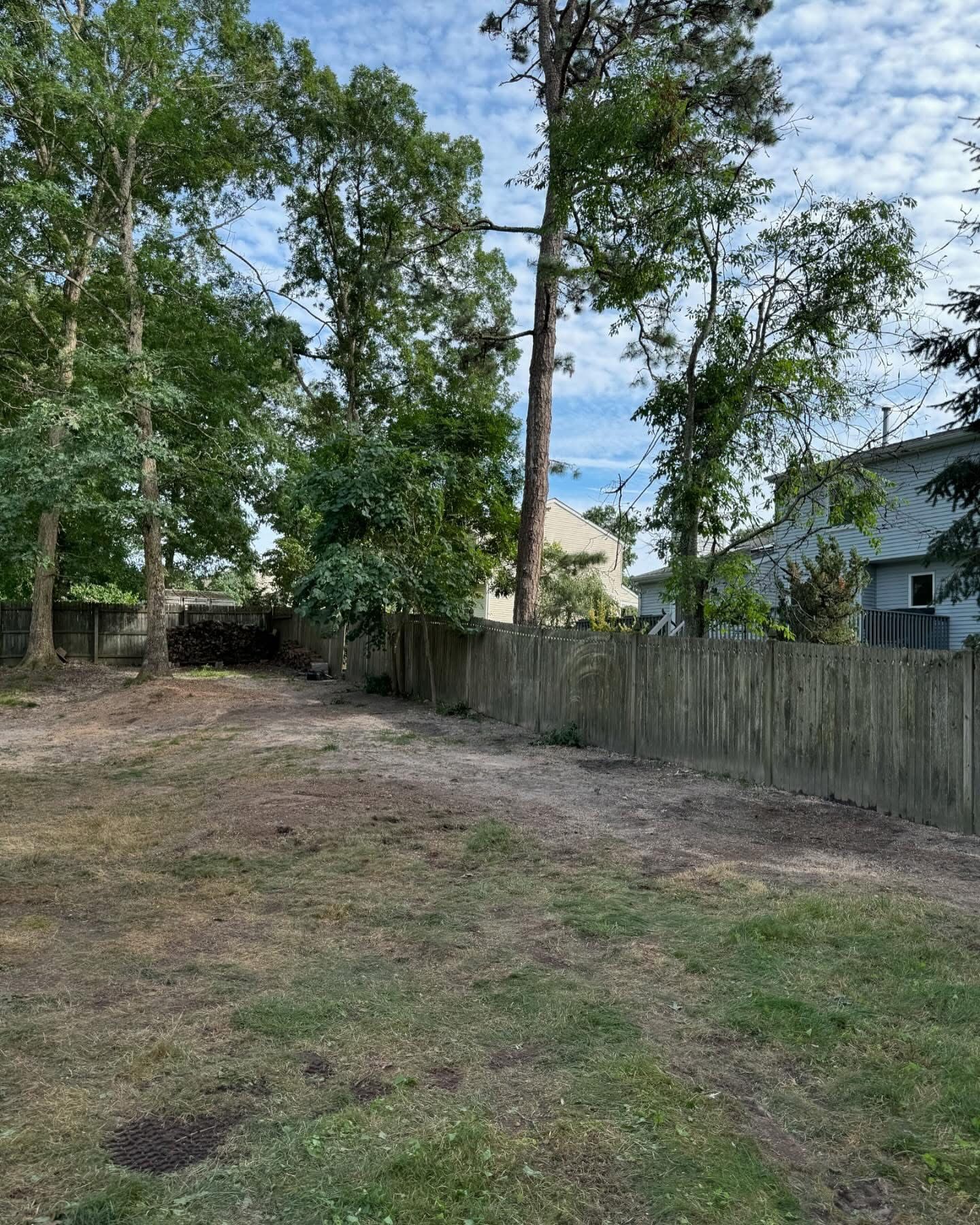 Backyard with tall trees, a wooden fence, and houses in the background.