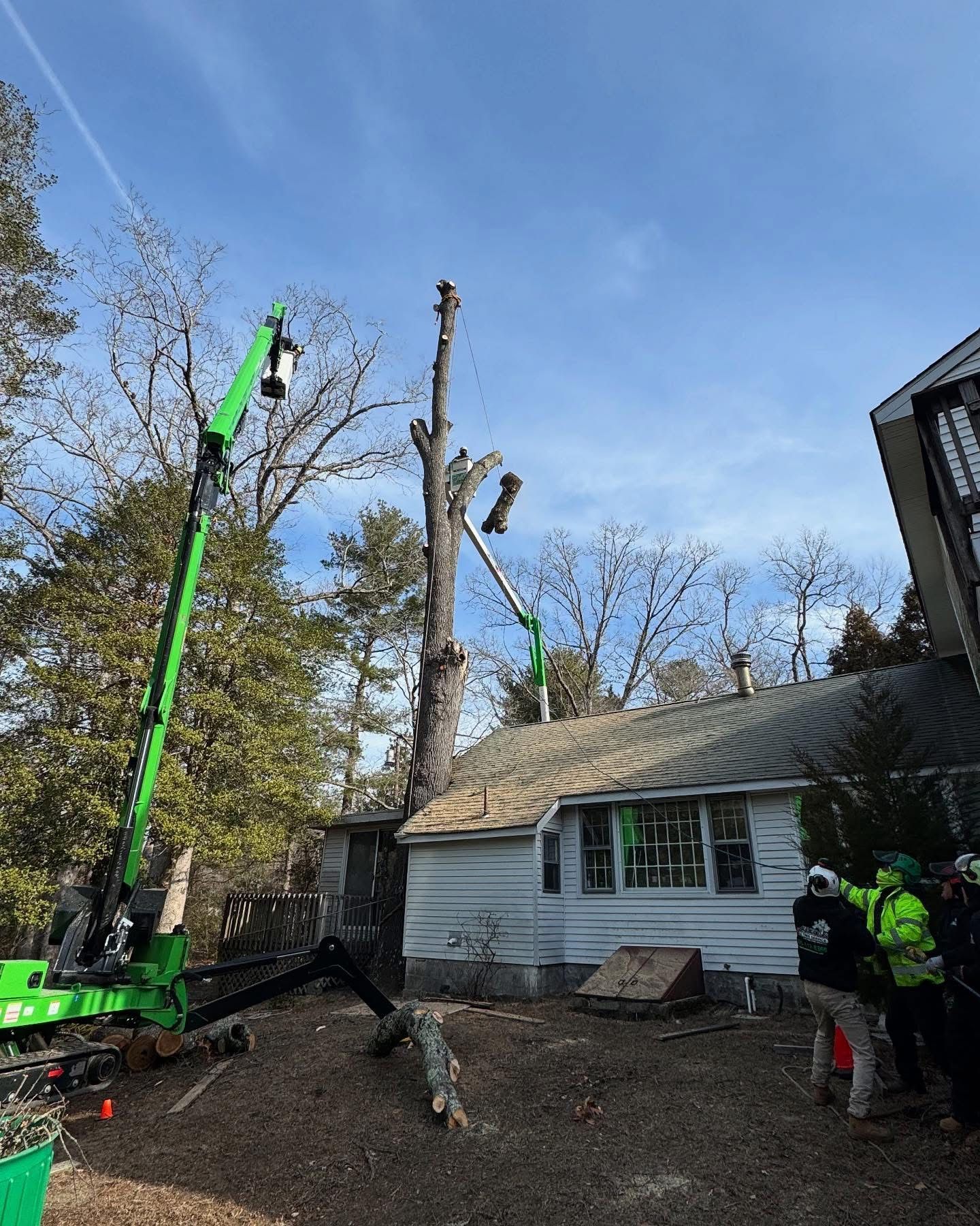 Two workers use a crane to remove a tree beside a small house under a blue sky.