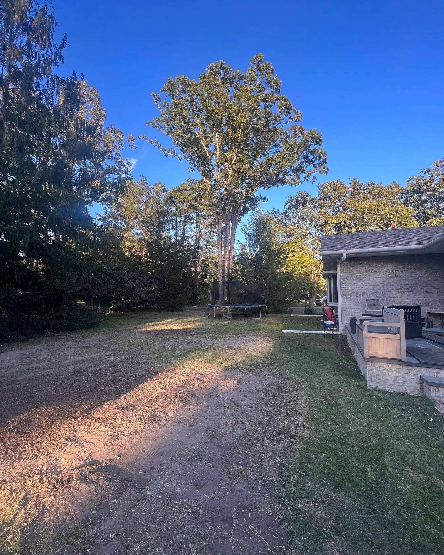 Gravel driveway beside a house, bordered by trees under a clear blue sky.