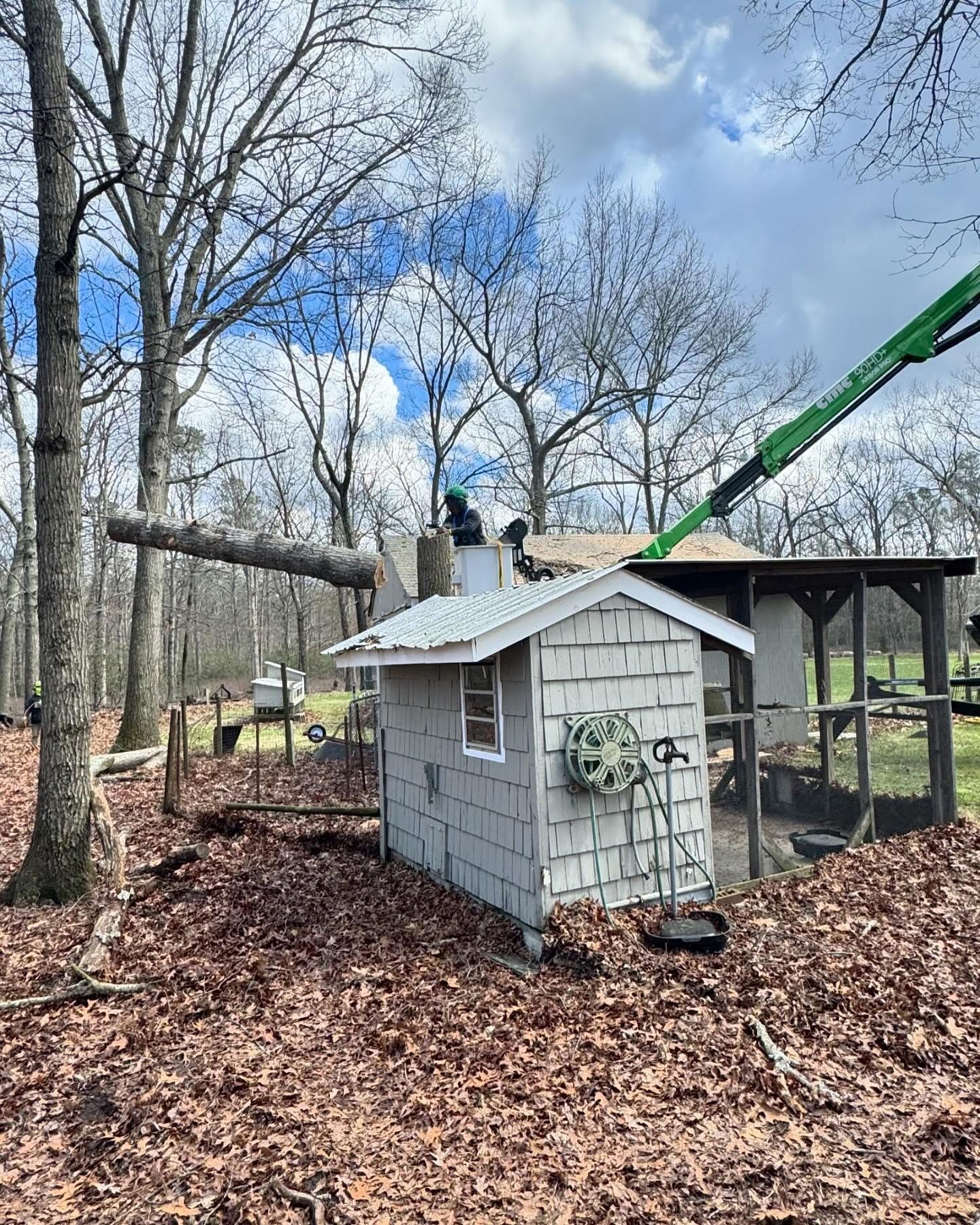 Small gray shed in a leaf-covered wooded area with a green crane boom overhead