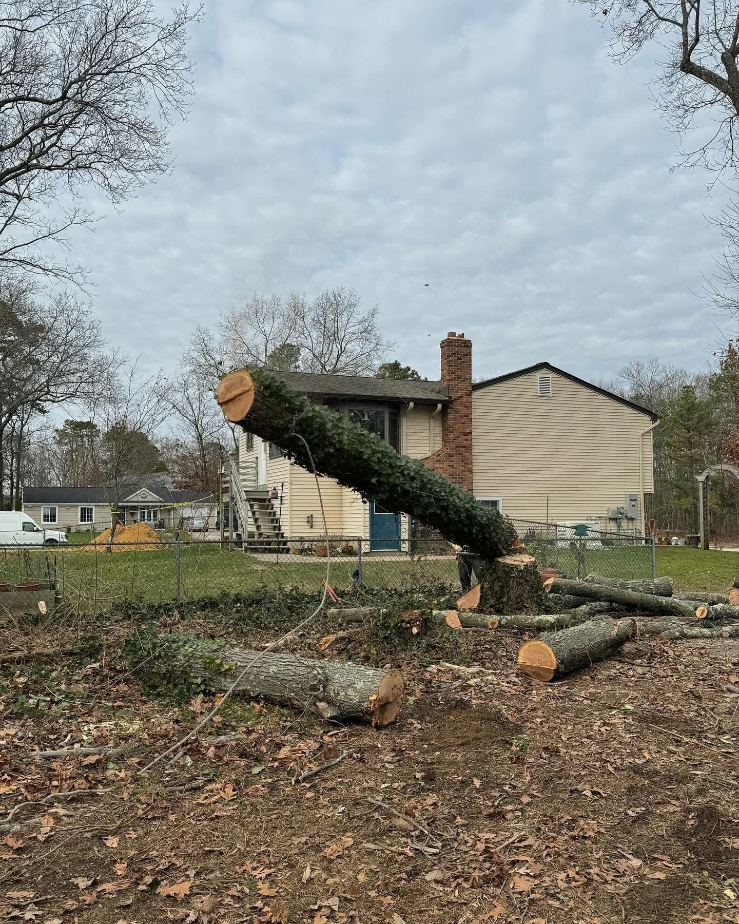 Felled tree trunk beside a beige house in a yard, with branches and wood debris scattered on the ground.