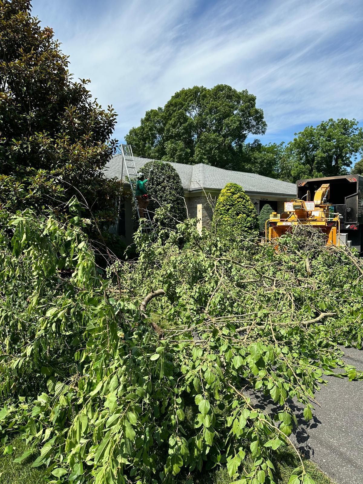 Fallen tree branches blocking a driveway beside a house, with a yellow excavator clearing debris.