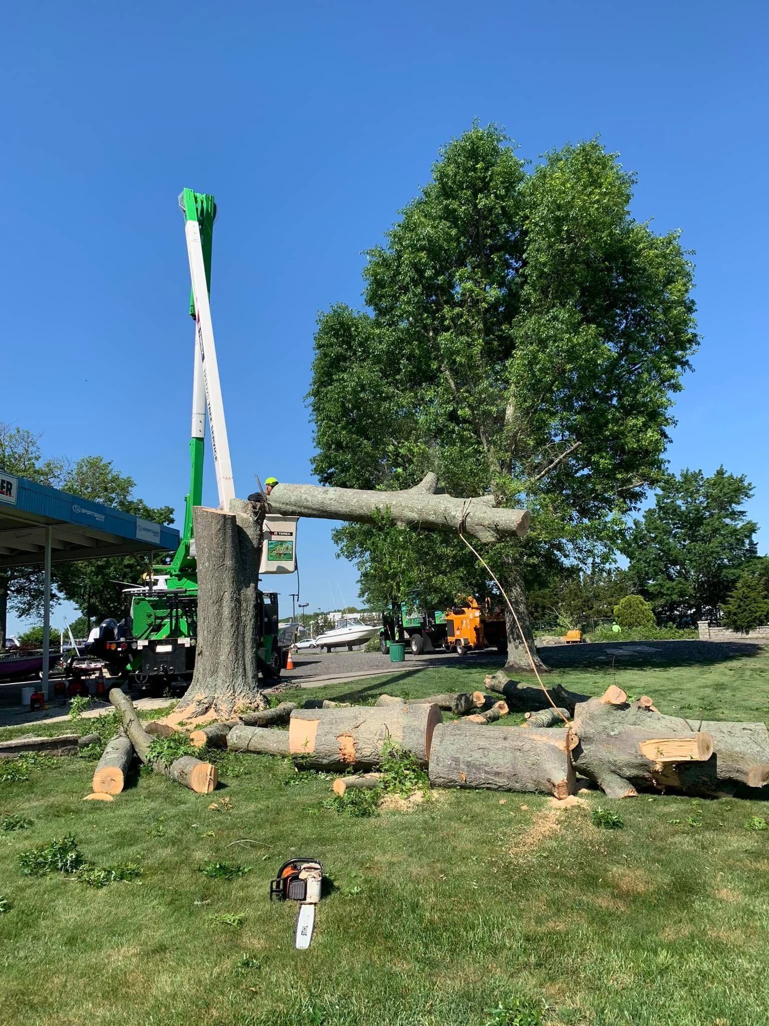 Rustic wooden sculpture in a sunny park beside a large green tree and rocks