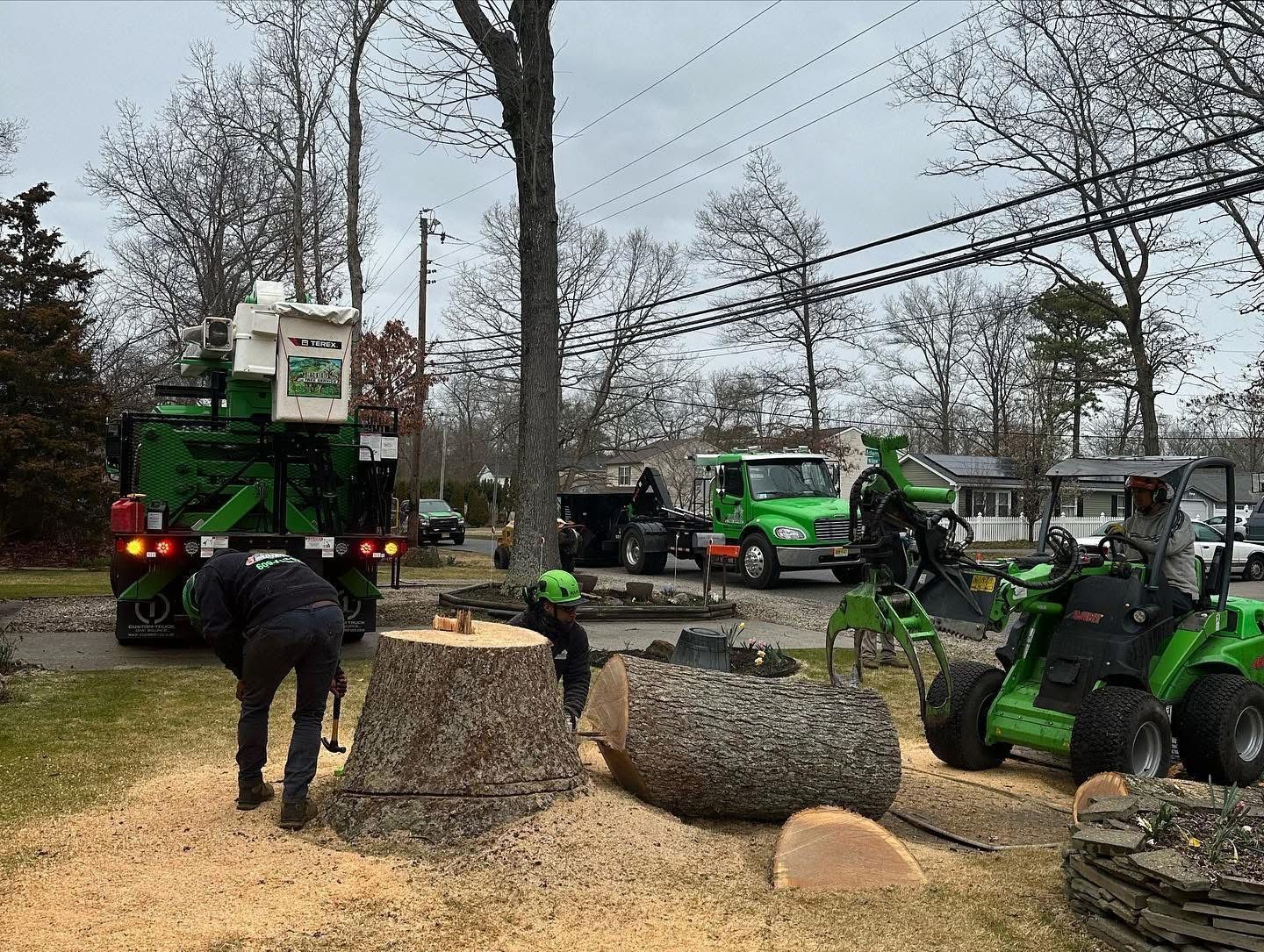Workers and green equipment at a tree stump removal site on a wet roadside