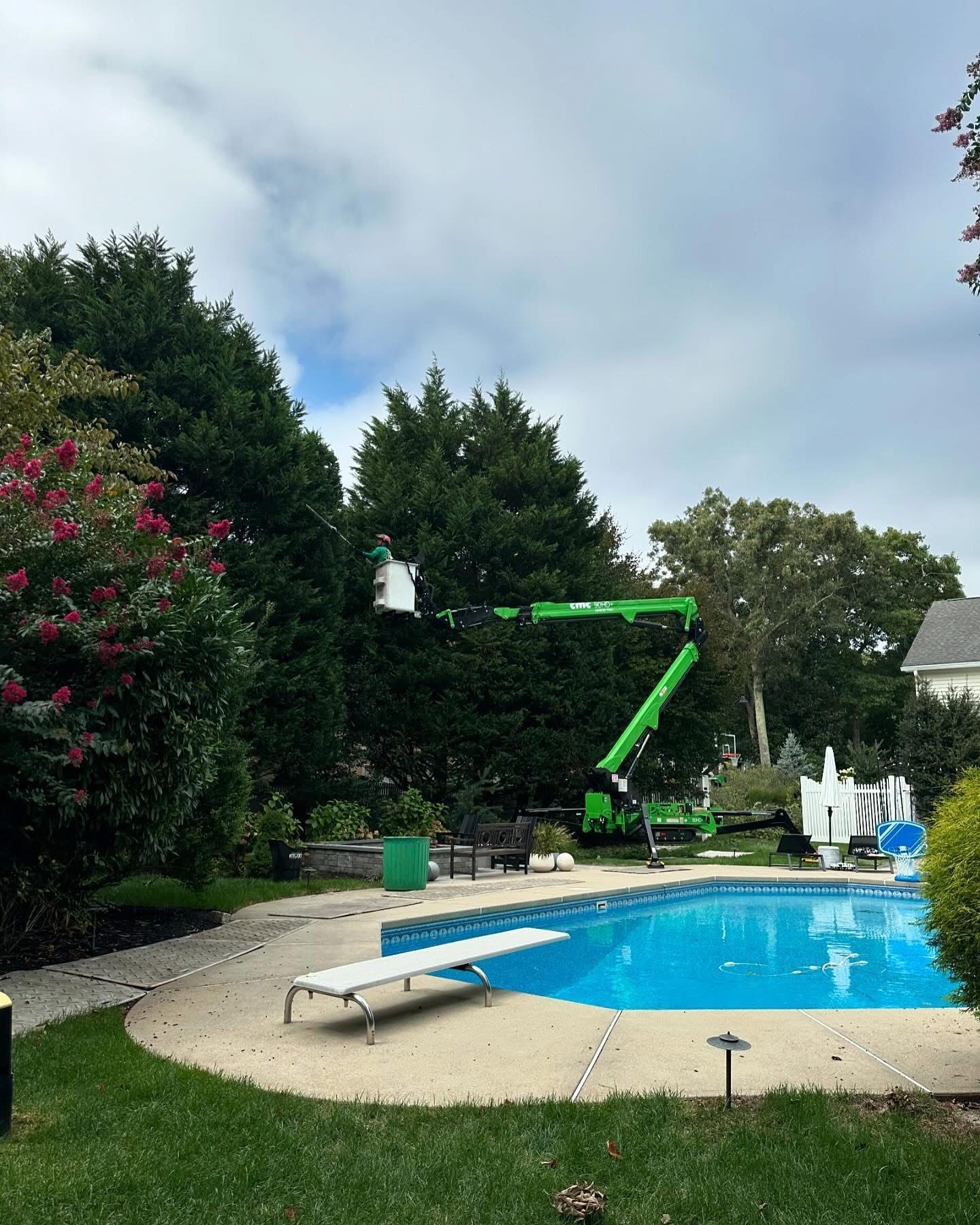 Backyard pool with a green boom lift among trees and a diving board under a cloudy sky