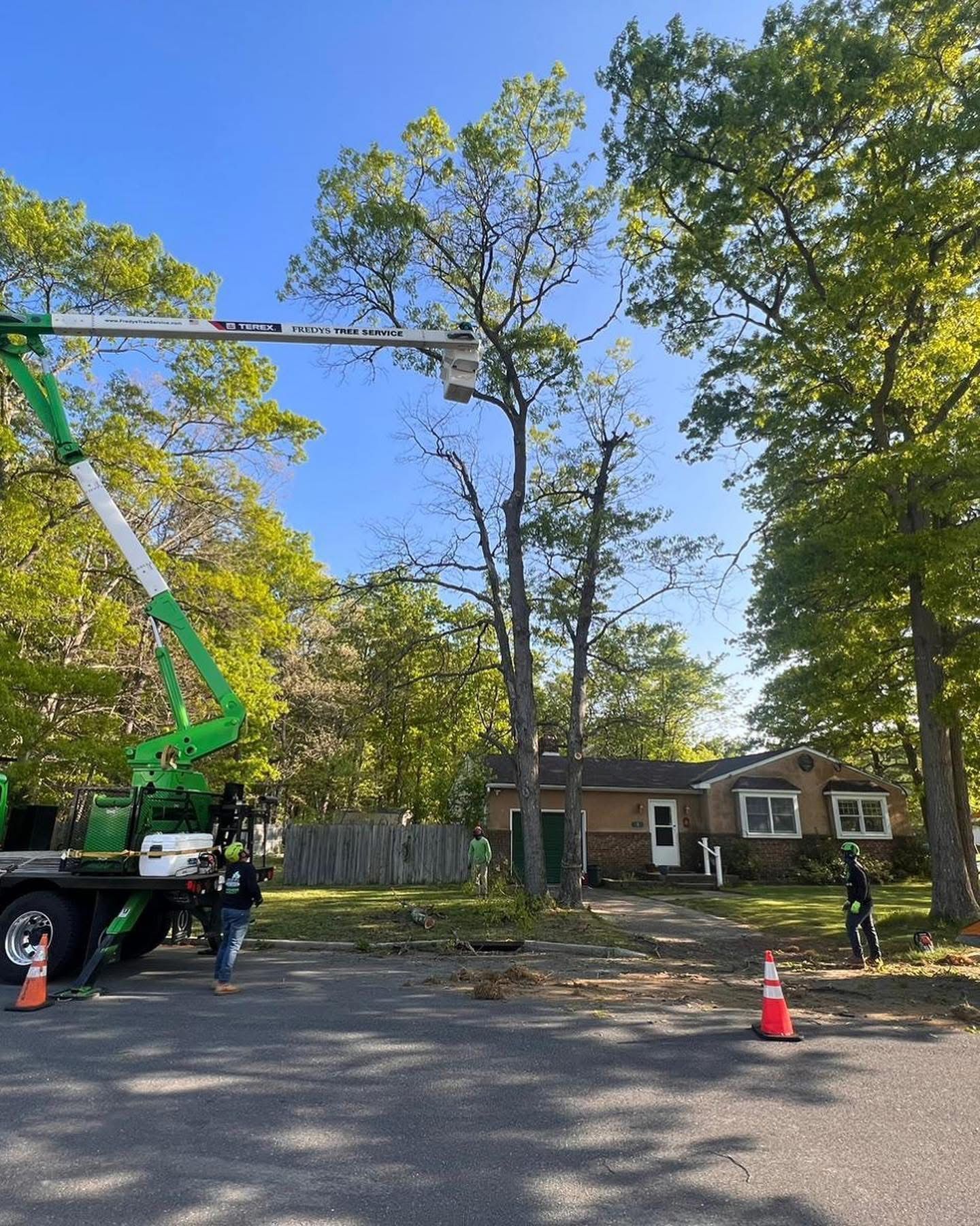 Crane truck lifting a long tree limb over a street beside a house, with workers and traffic cones nearby