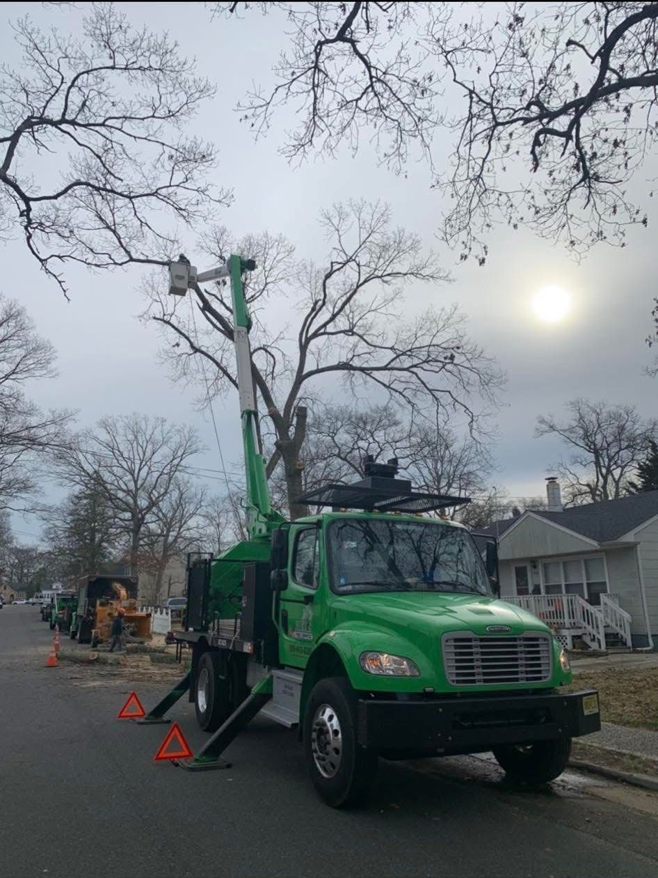 Green utility truck with raised boom working on roadside trees near houses under a gray sky