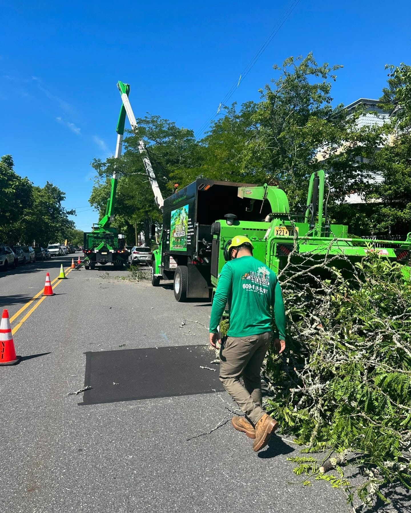 Tree crew clearing branches beside a street, with a green truck and worker in a helmet on a sunny day