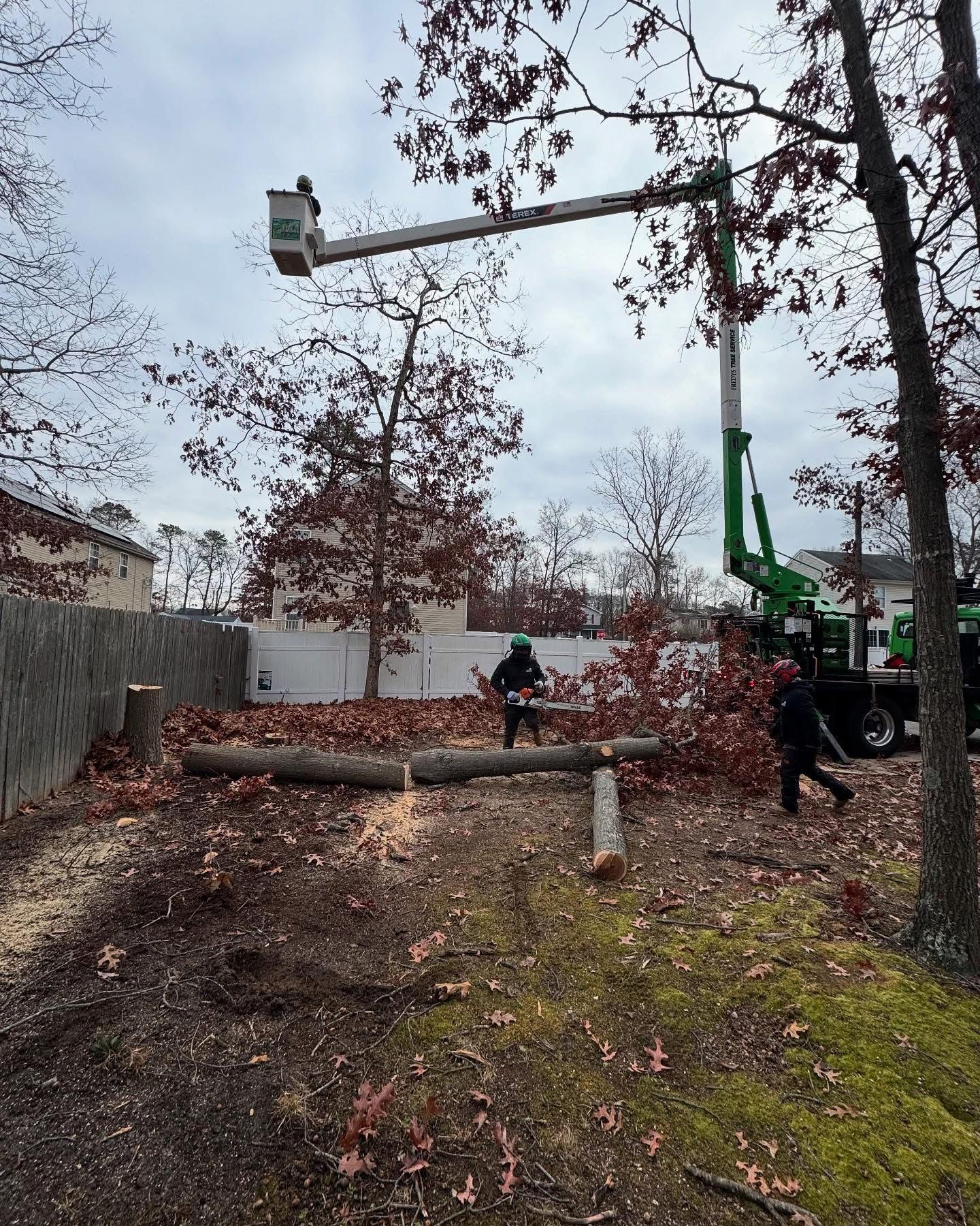 Workers using a crane to lift a fallen tree trunk in a wooded yard on a rainy day
