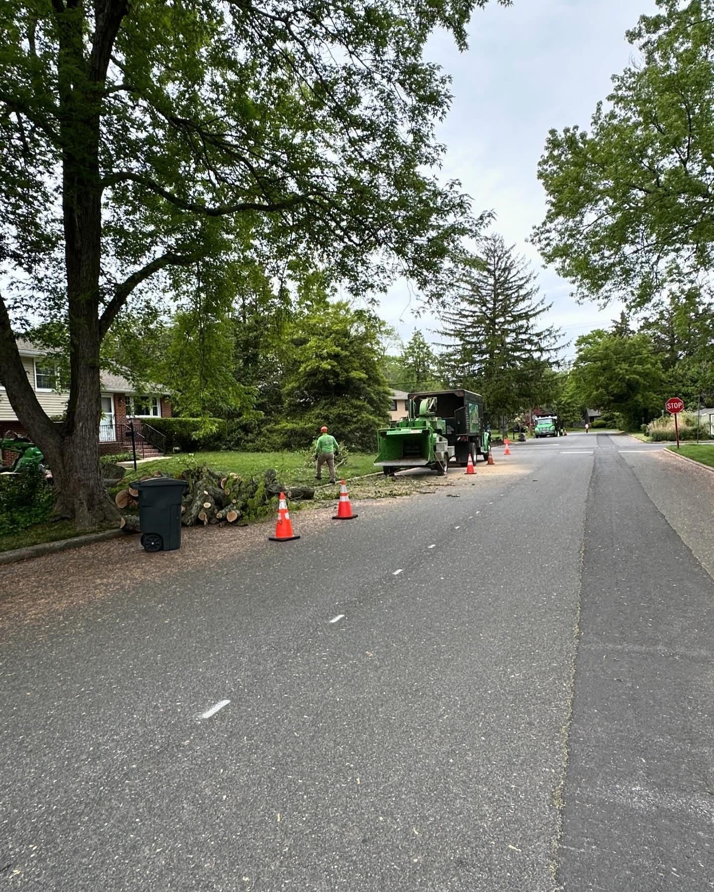Tree-lined residential street with orange cones and a roadwork crew in the distance