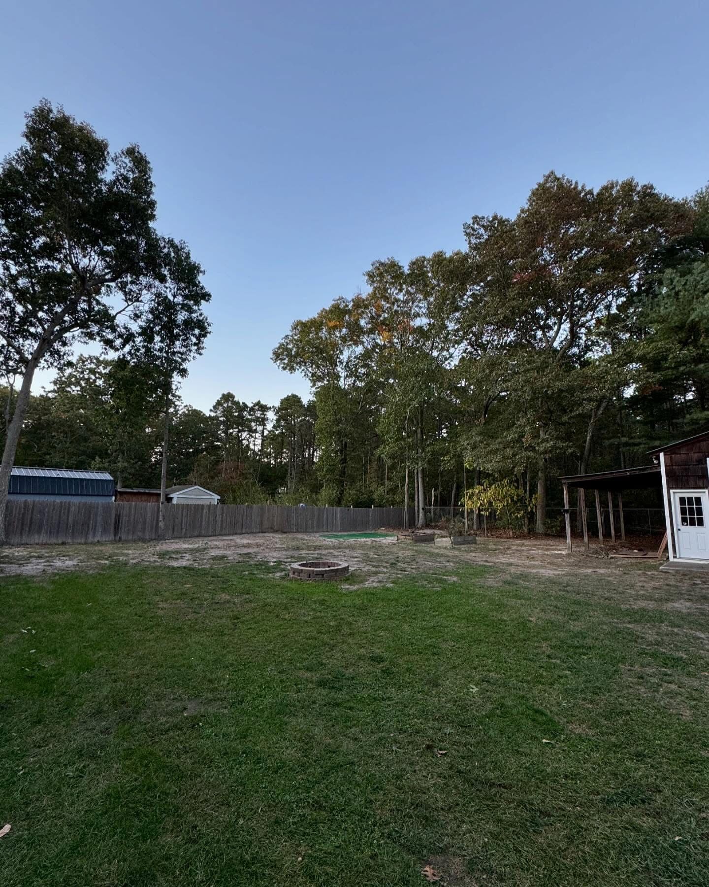 Grassy backyard with tall trees, a dirt patch, and a small white shed at dusk.