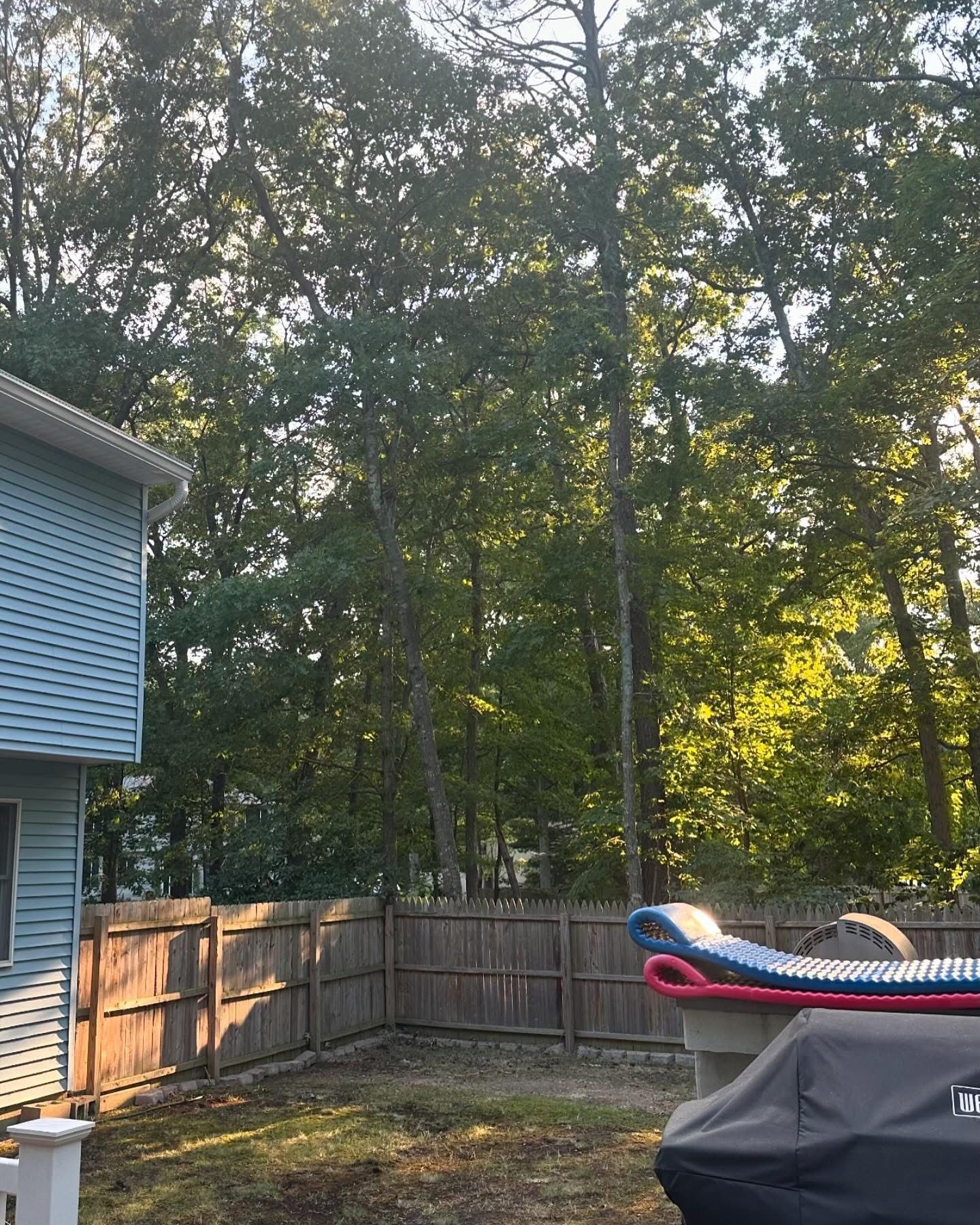 Backyard with wooden fence, tall trees, and part of a blue house beside a covered grill and kayak