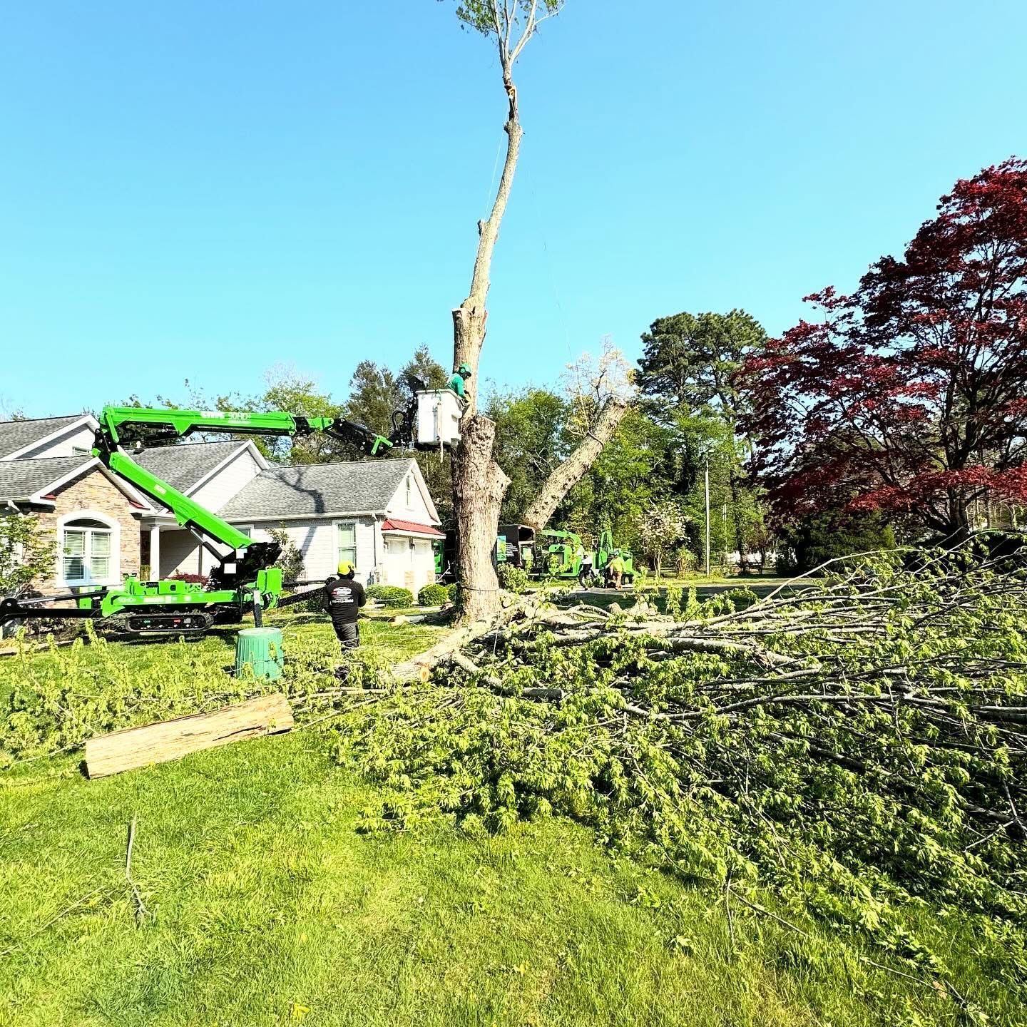 Storm-damaged suburban yard with a fallen tree blocking a lawn beside a house