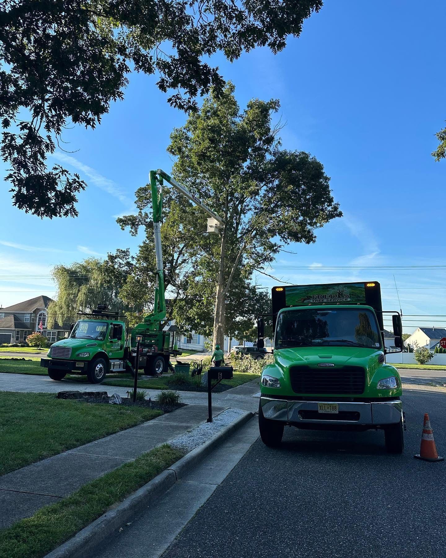 Green utility trucks and a bucket lift on a residential street under trees, with cones and blue sky.