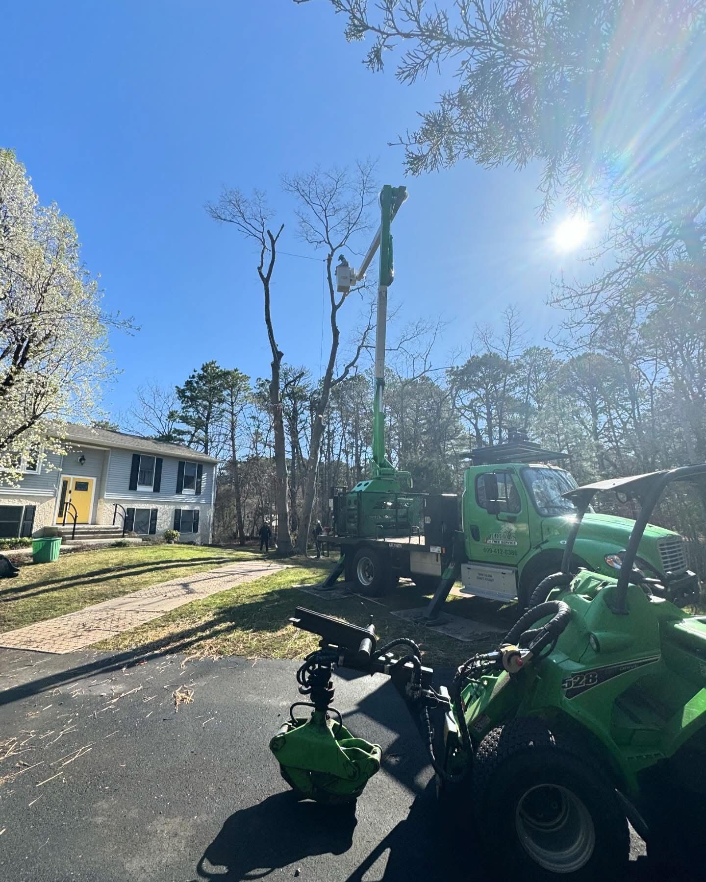 Green excavator clearing a tree in a sunny residential driveway beside a house