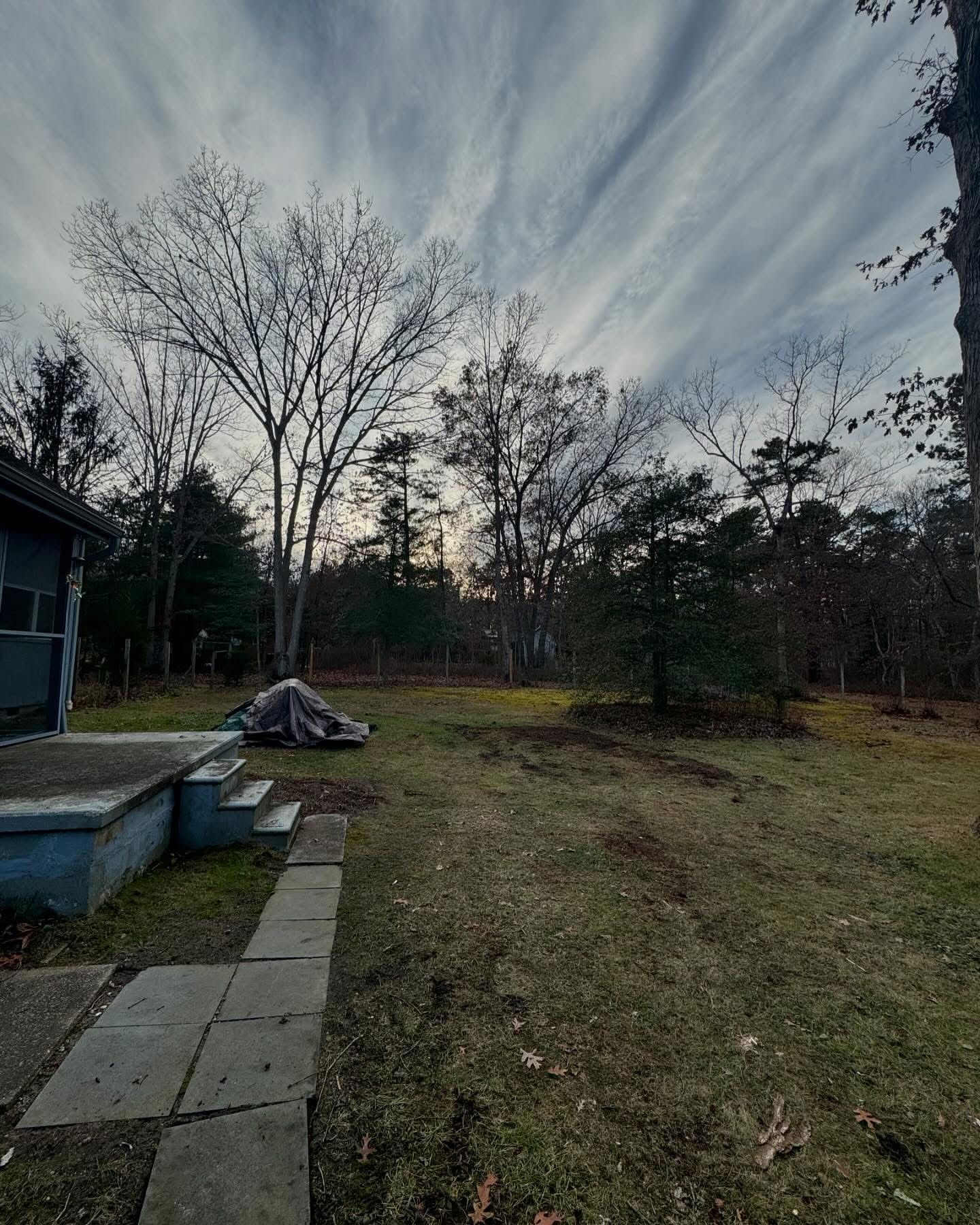 Backyard with bare trees, grassy yard, stone path, and a covered object near the deck at dusk