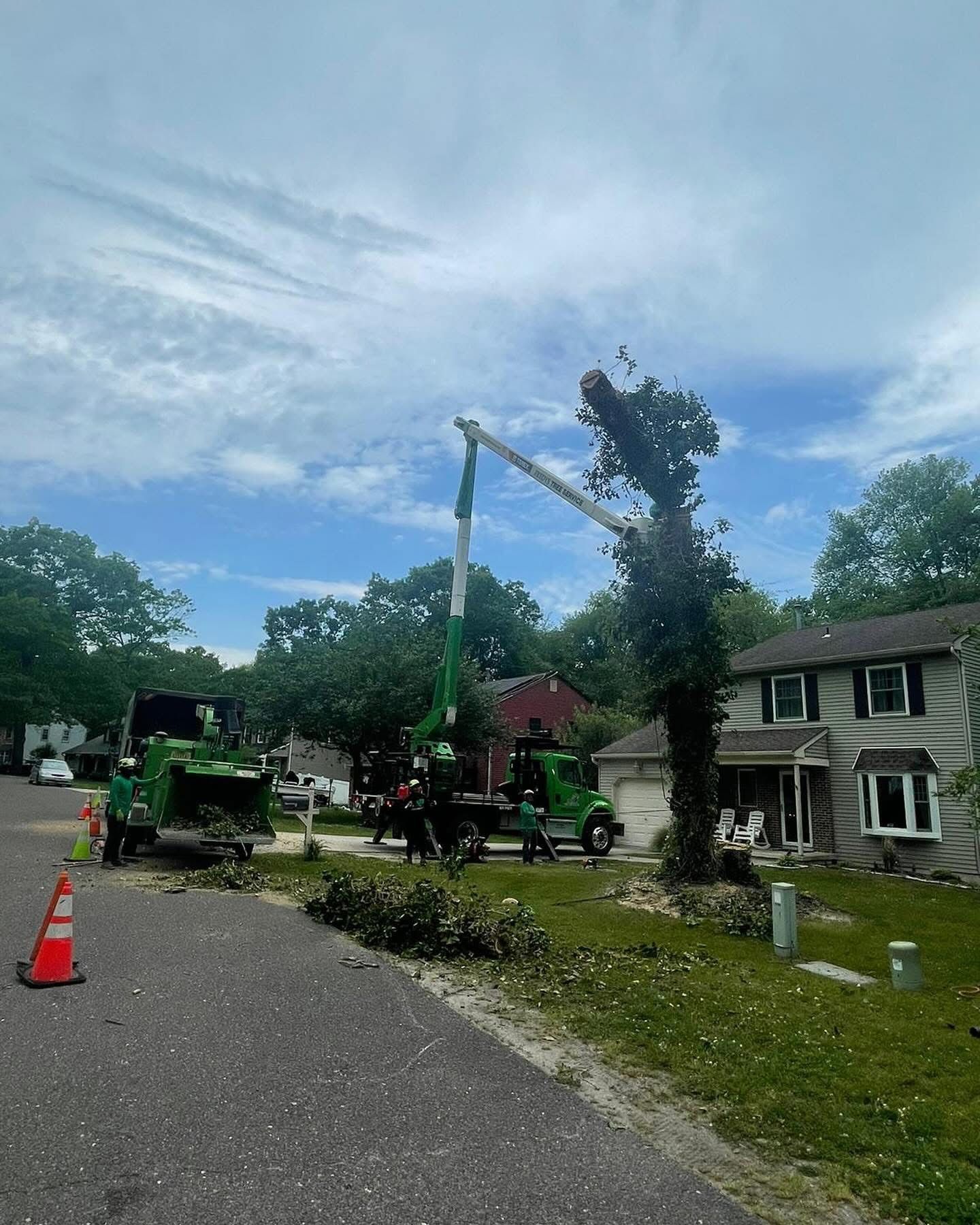 Tree being cut by a bucket truck and workers near a house on a roadside.