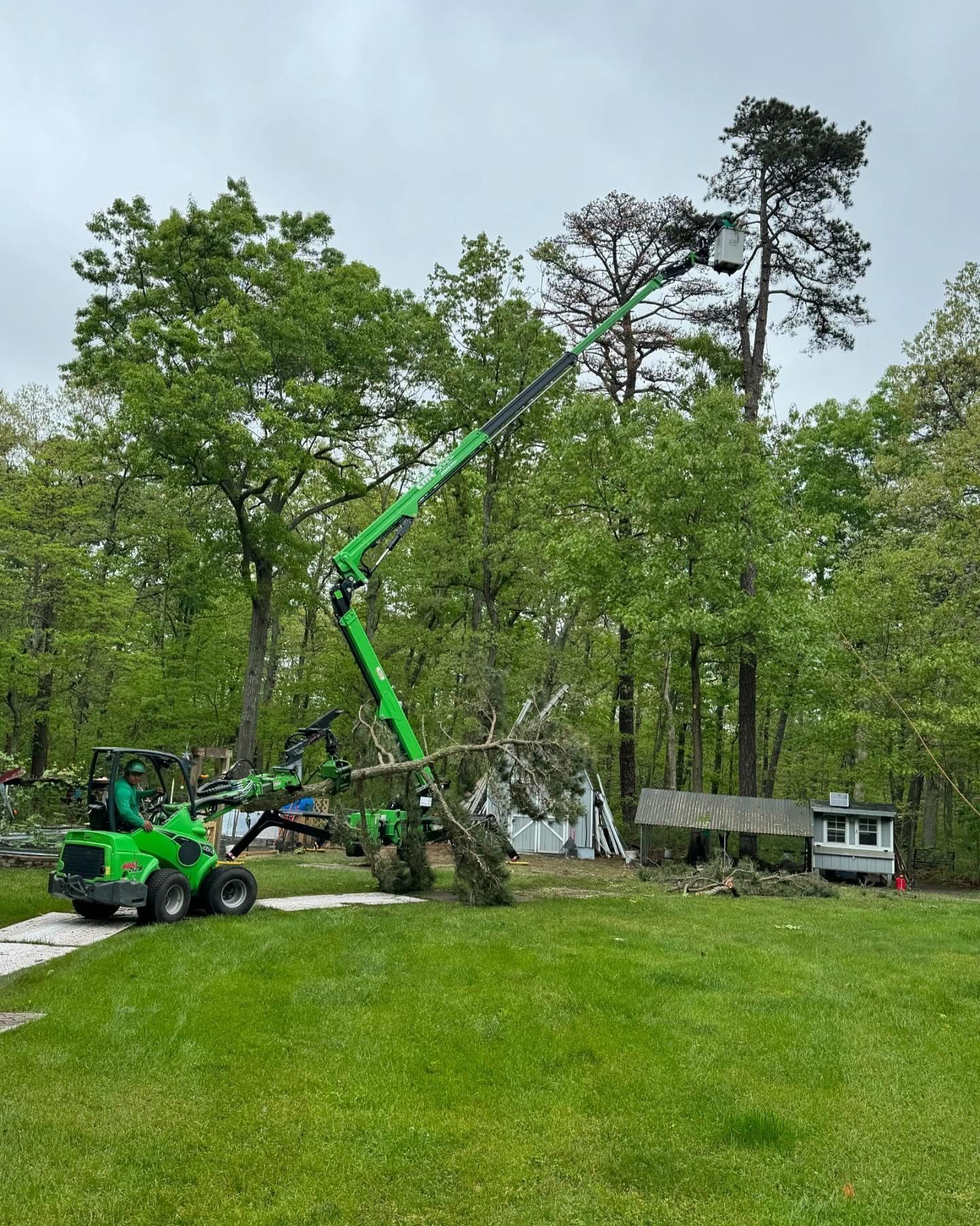 Green boom lift trimming a tall tree beside a house in a grassy yard