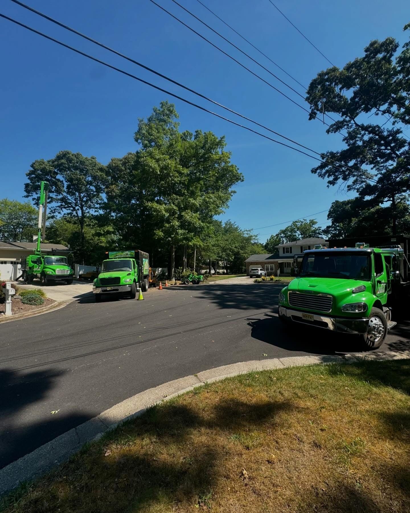 Bright green garbage trucks parked on a sunny residential street with trees and power lines