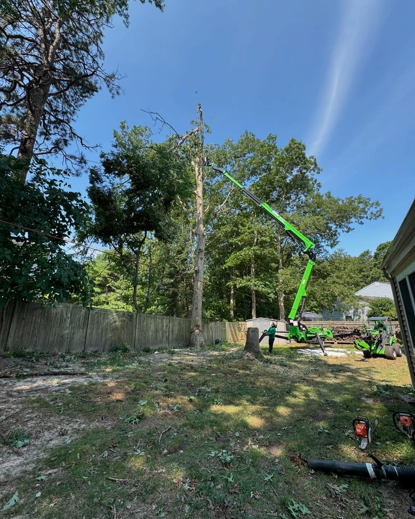 Tree service truck with green boom trimming a tall tree in a backyard beside a fence and house