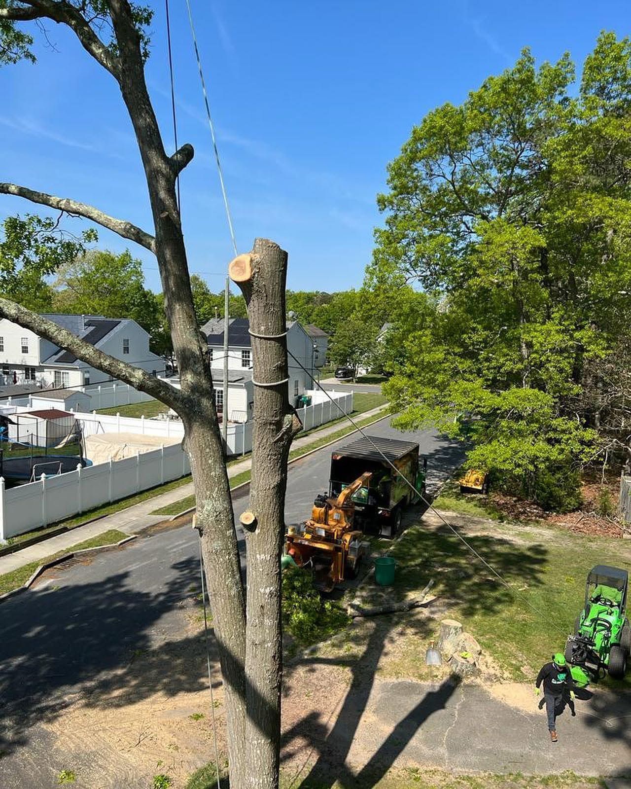 Roadside tree-trimming scene with a truck, equipment, and workers beside houses on a sunny day