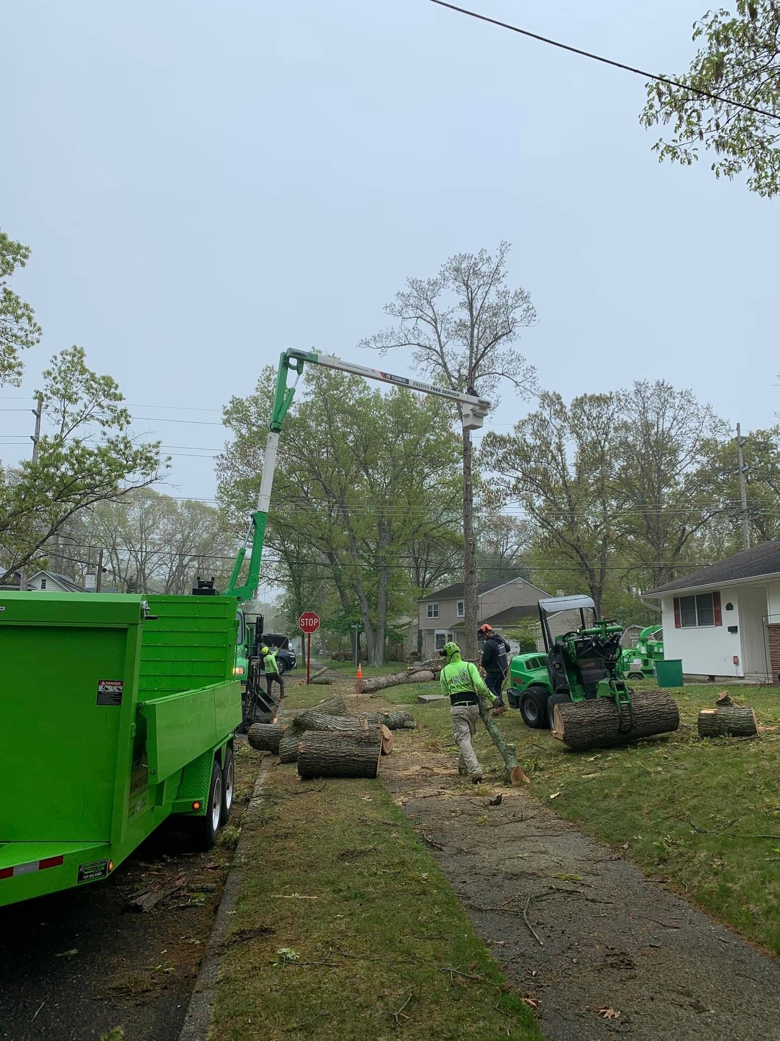Green tree crew clearing fallen branches along a driveway with a wood chipper and utility truck.