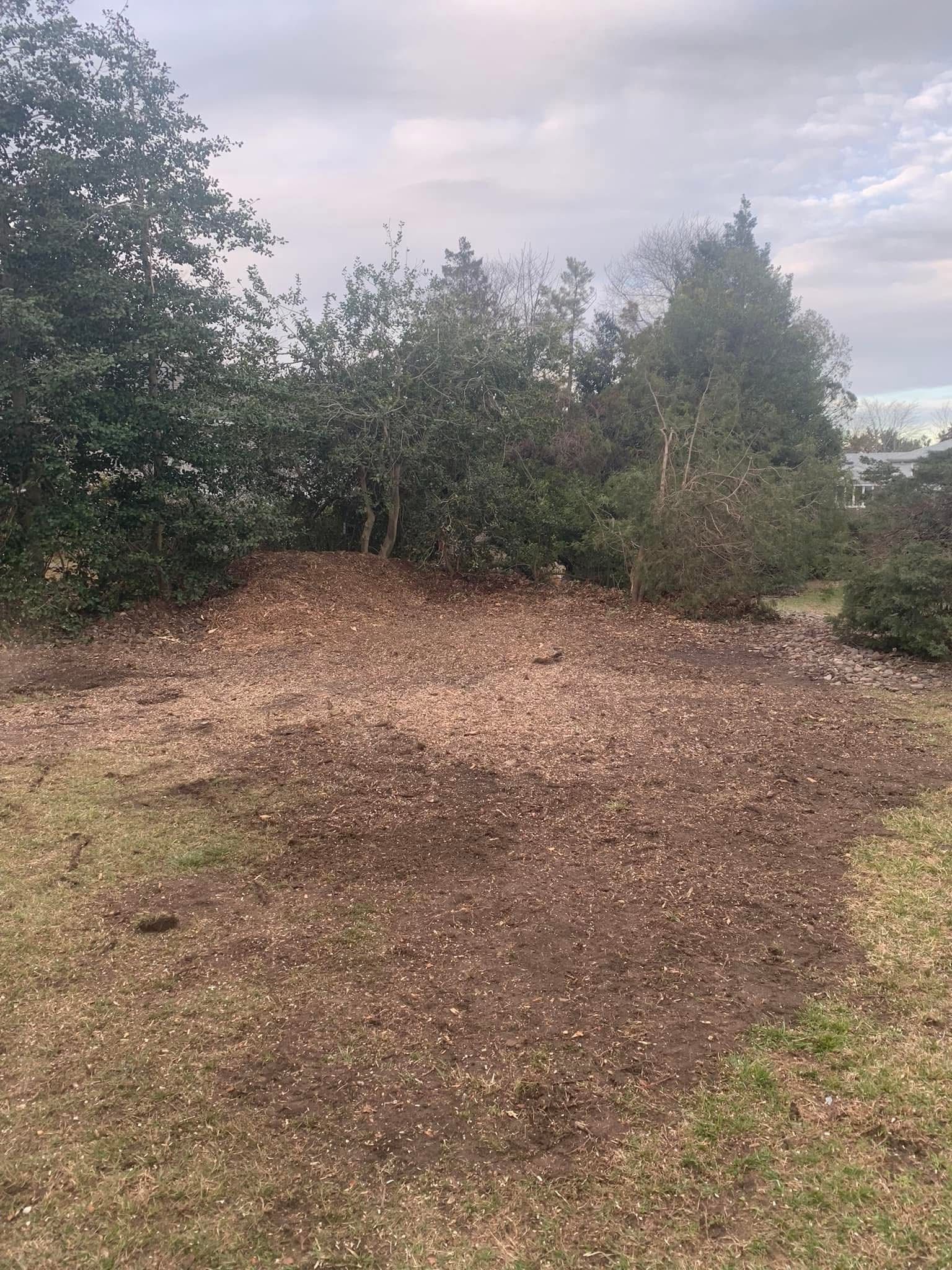 A muddy dirt mound beside dense green bushes under an overcast sky.
