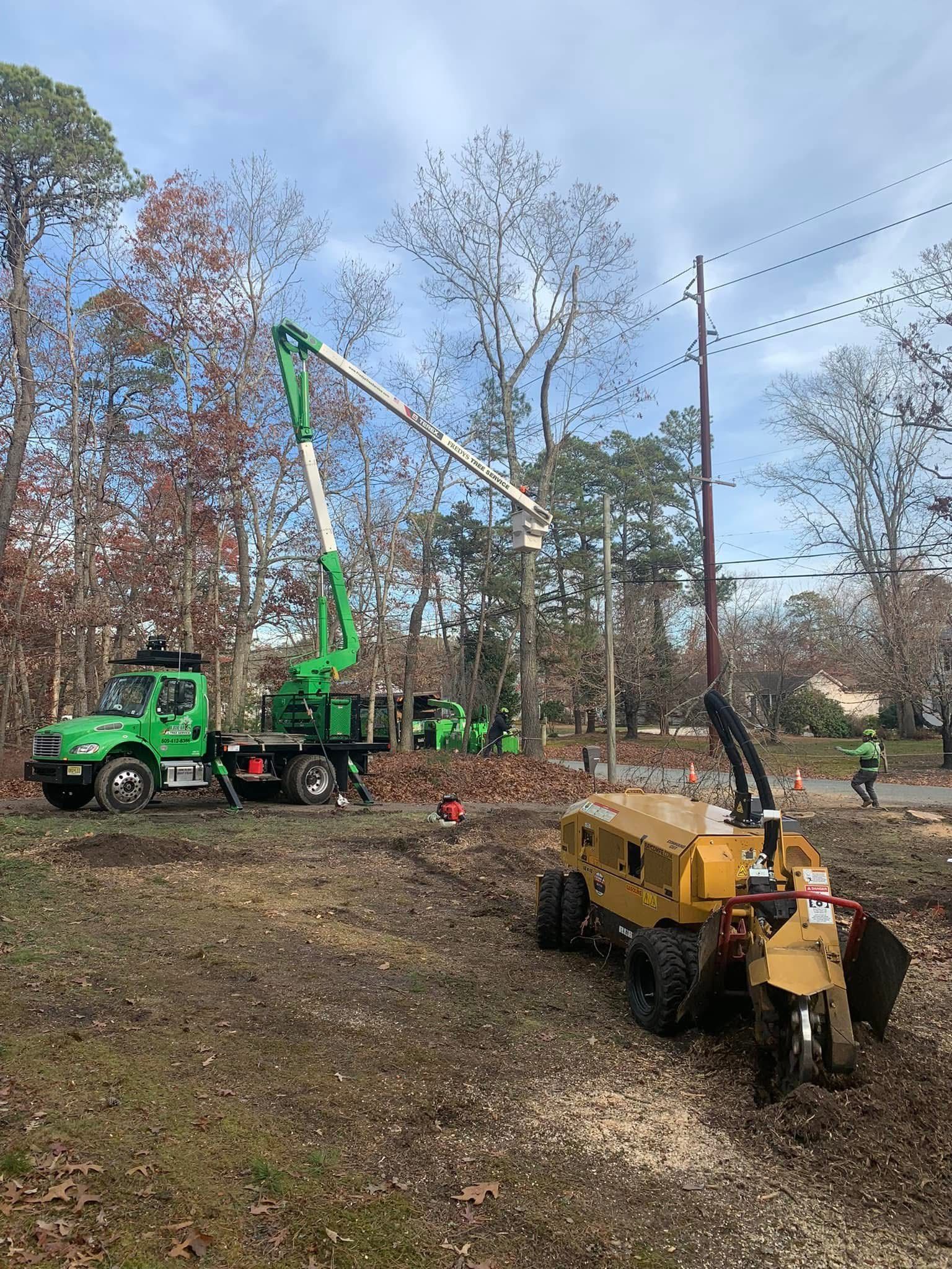 Utility trucks and a crane lifting a pole in a wooded area with fallen leaves.