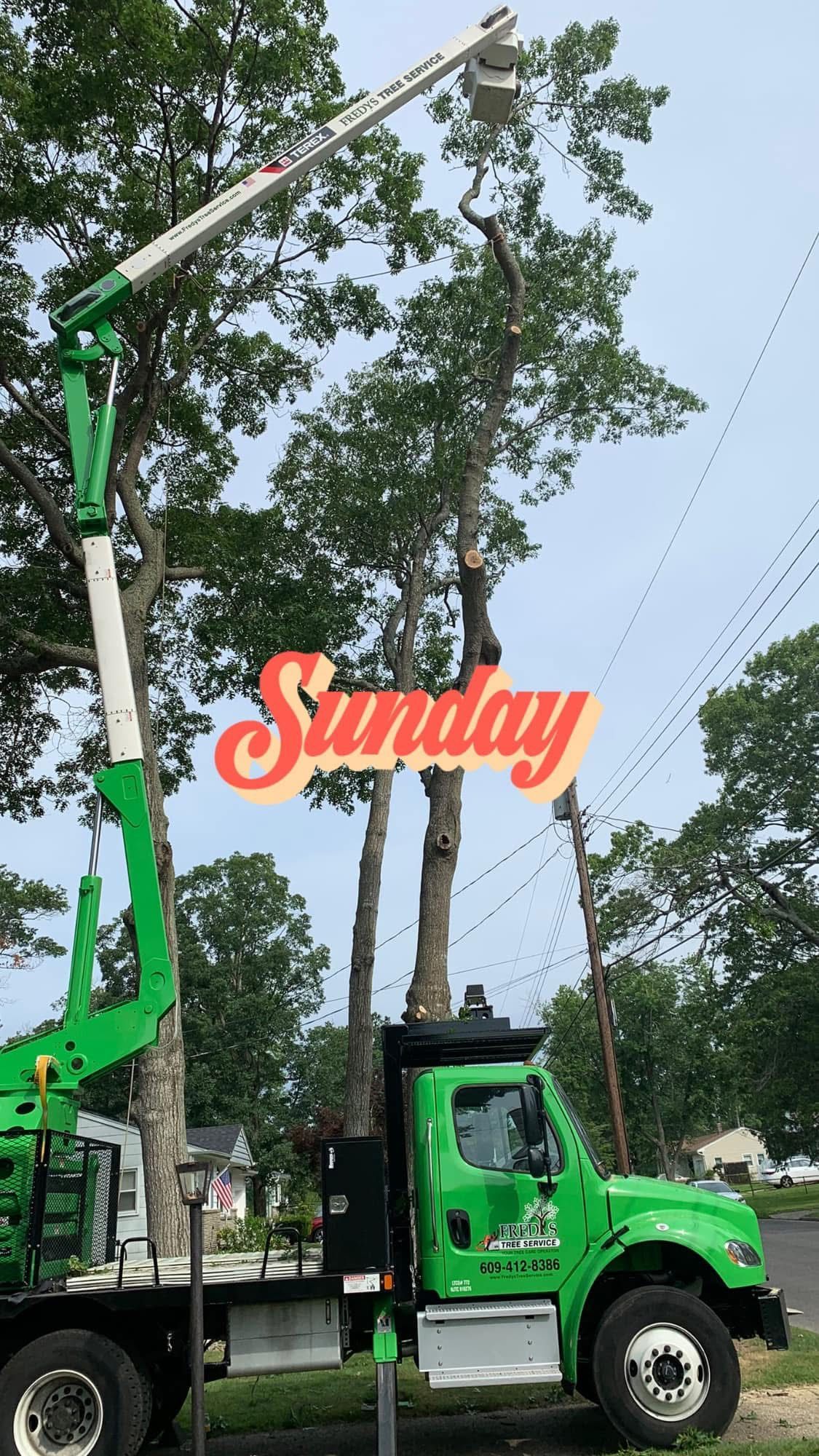 Green crane truck lifting tall tree branches with “Sunday” text overlaid in the center.